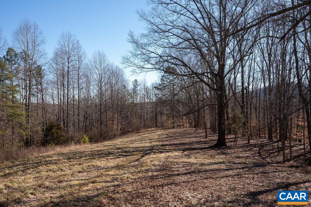 TBD ROCKFISH GAP TPKE