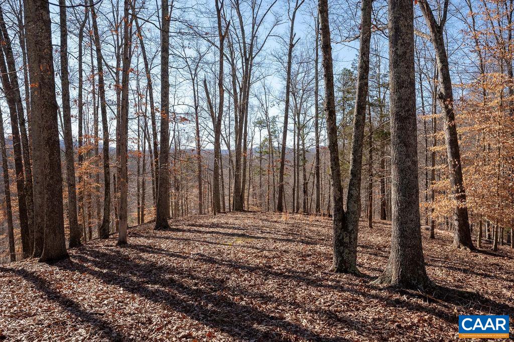 TBD ROCKFISH GAP TPKE