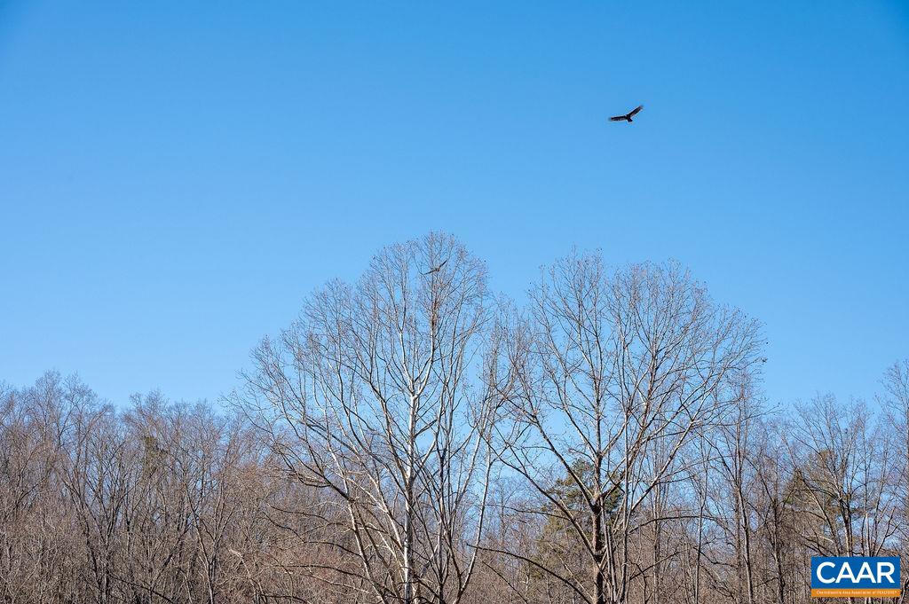 TBD ROCKFISH GAP TPKE