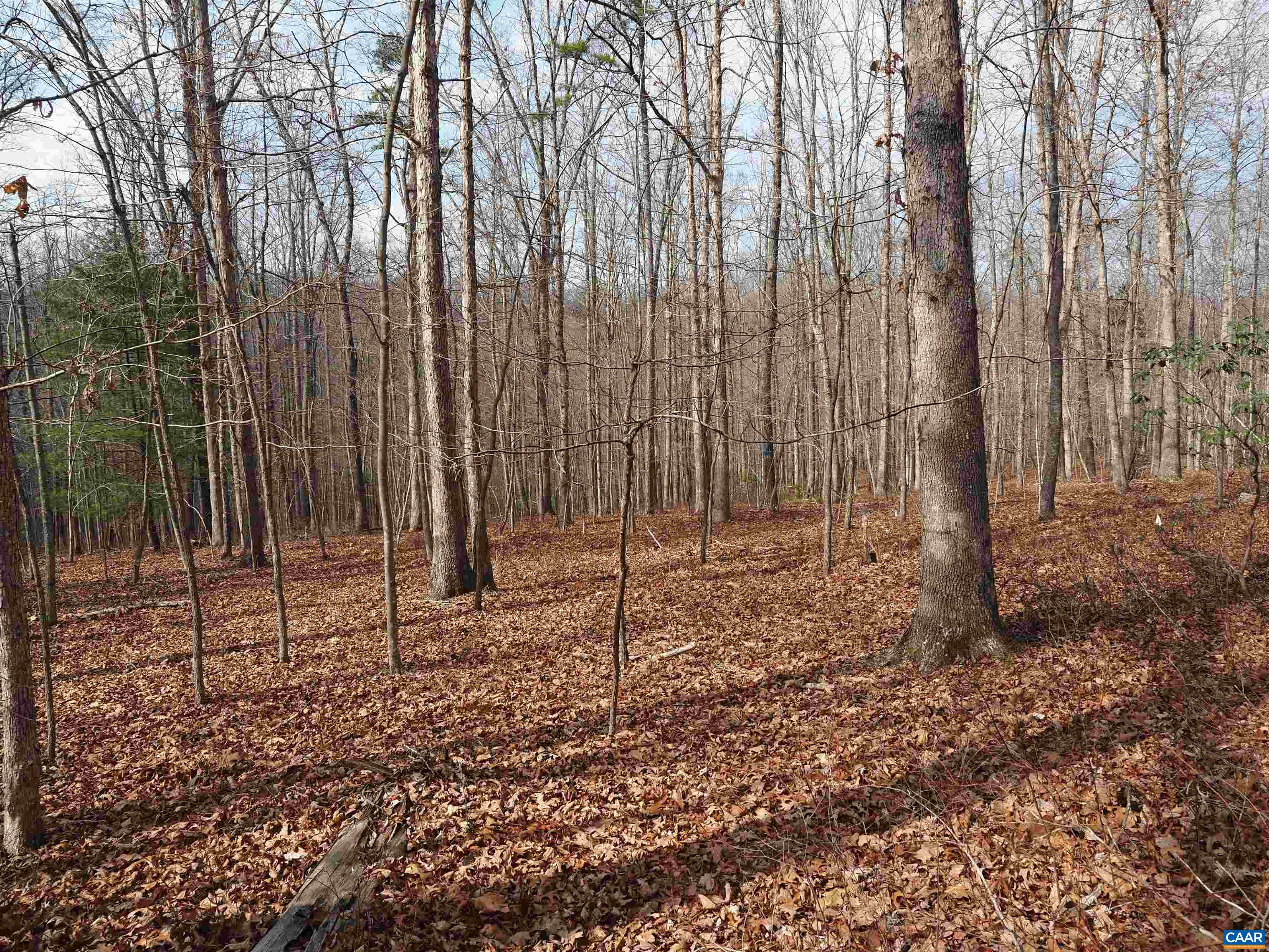 THUNDER RIDGE RD Unit: B1