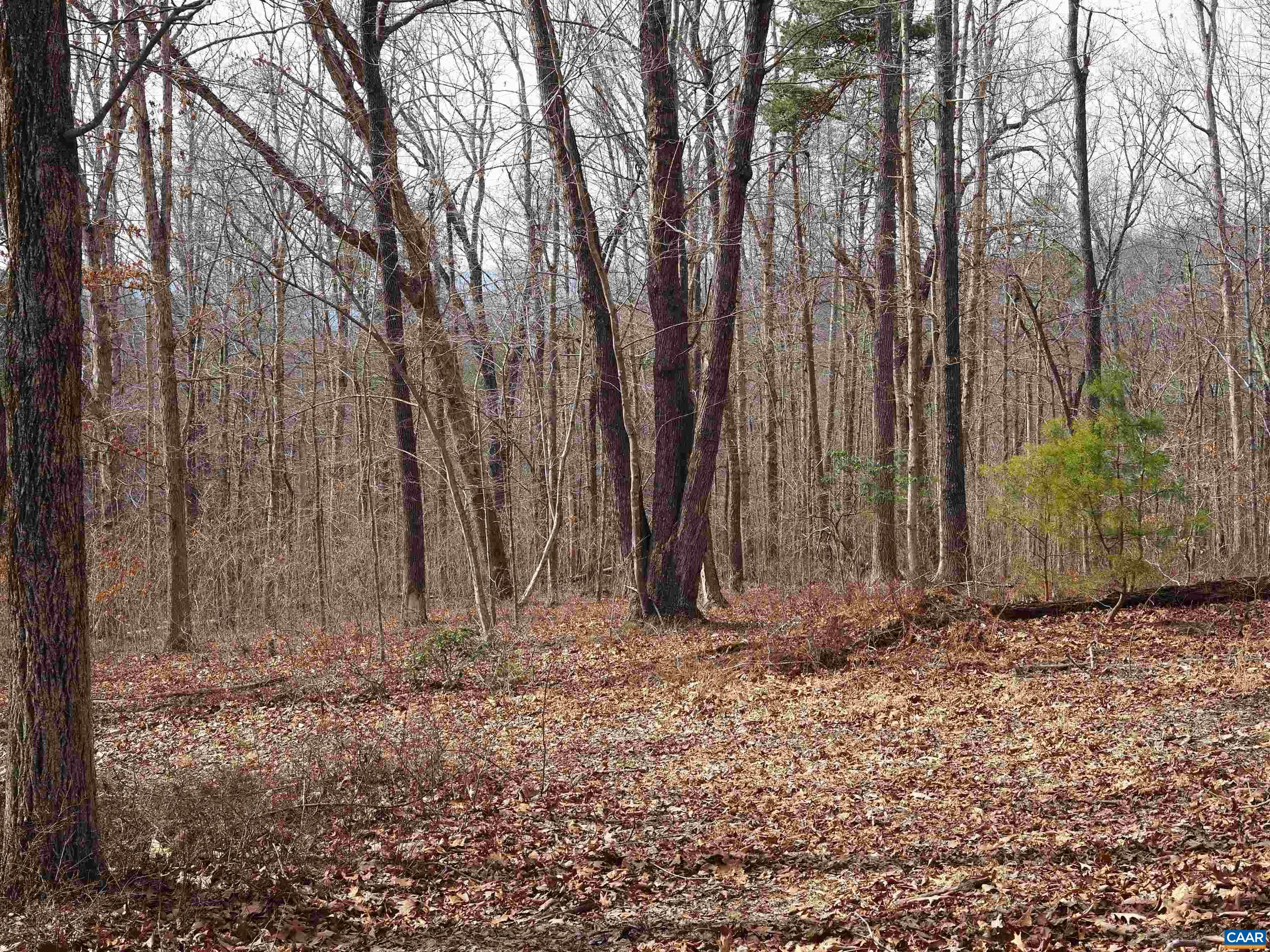THUNDER RIDGE RD Unit: B1
