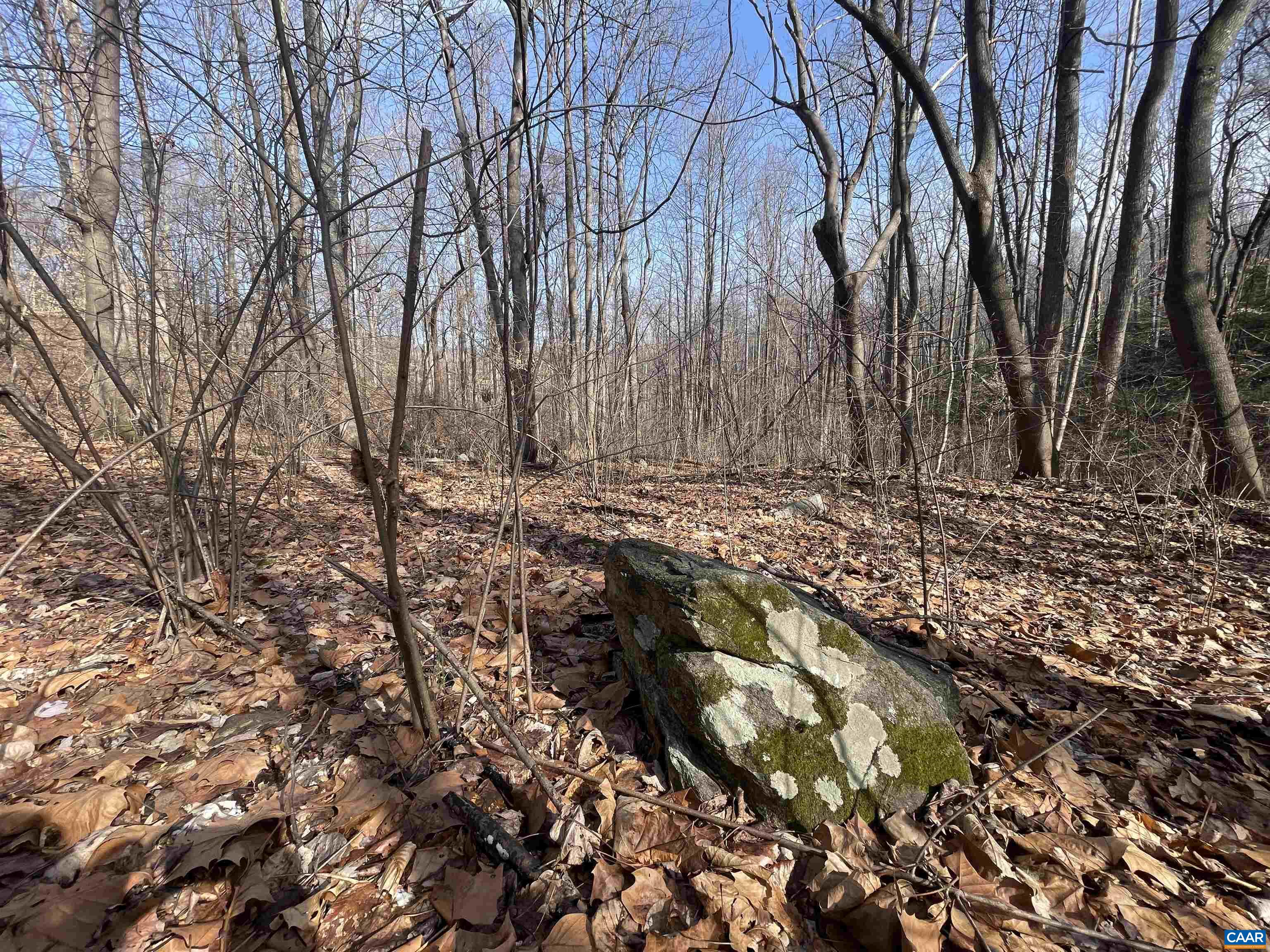 TBD PINE TREE LN Unit: Revised Lot 24