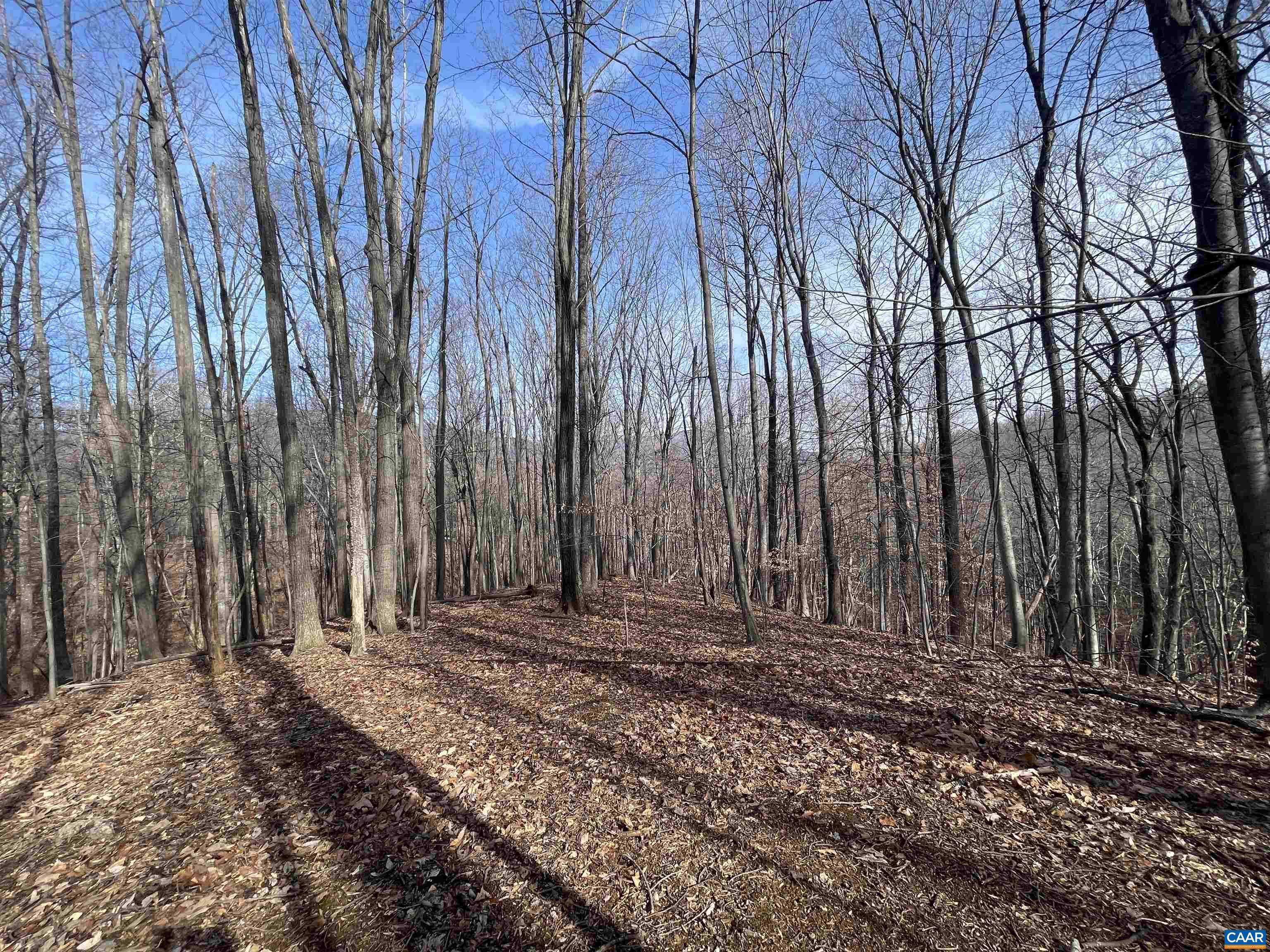 TBD PINE TREE LN Unit: Revised Lot 24