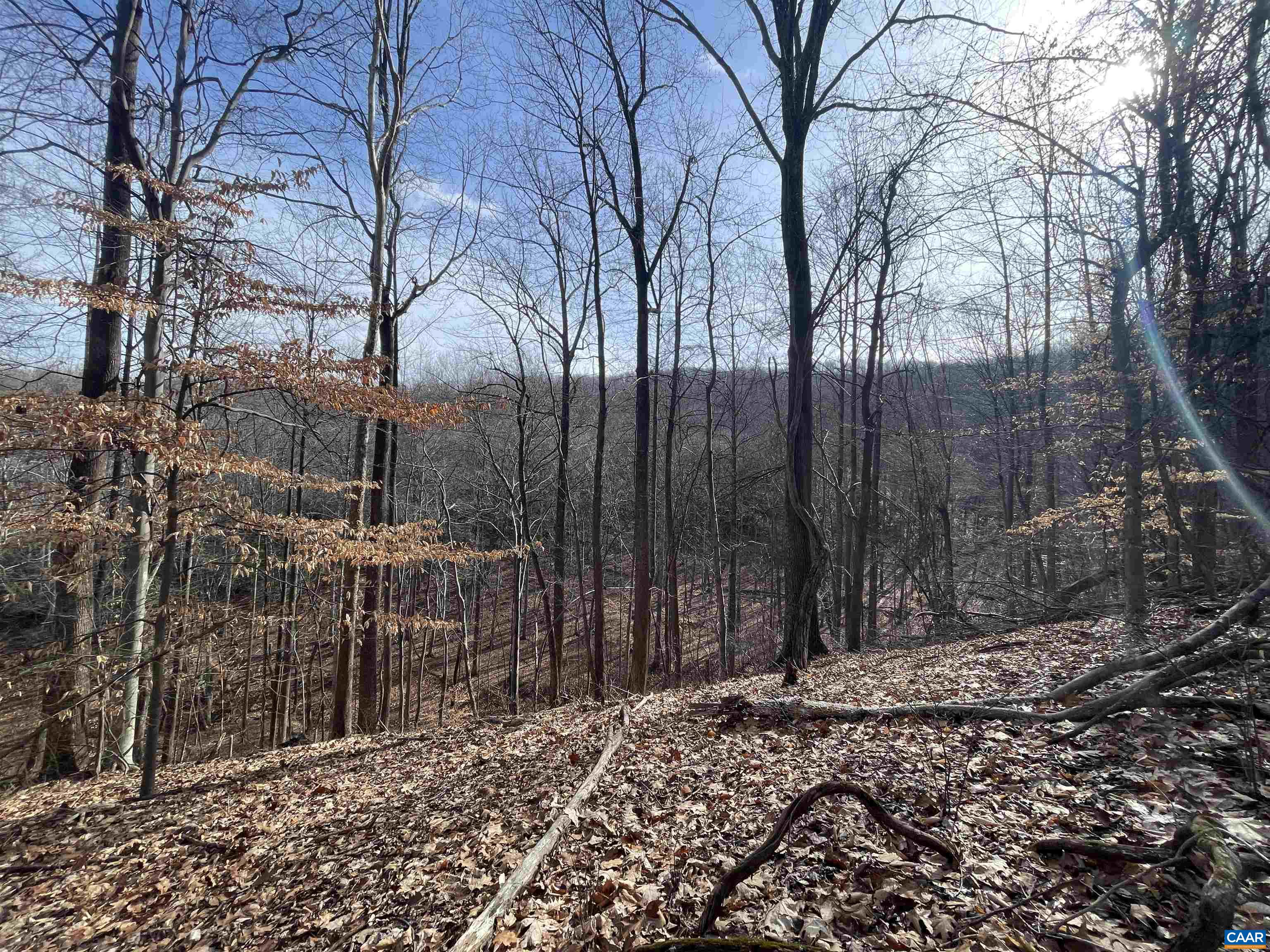 TBD PINE TREE LN Unit: Revised Lot 24