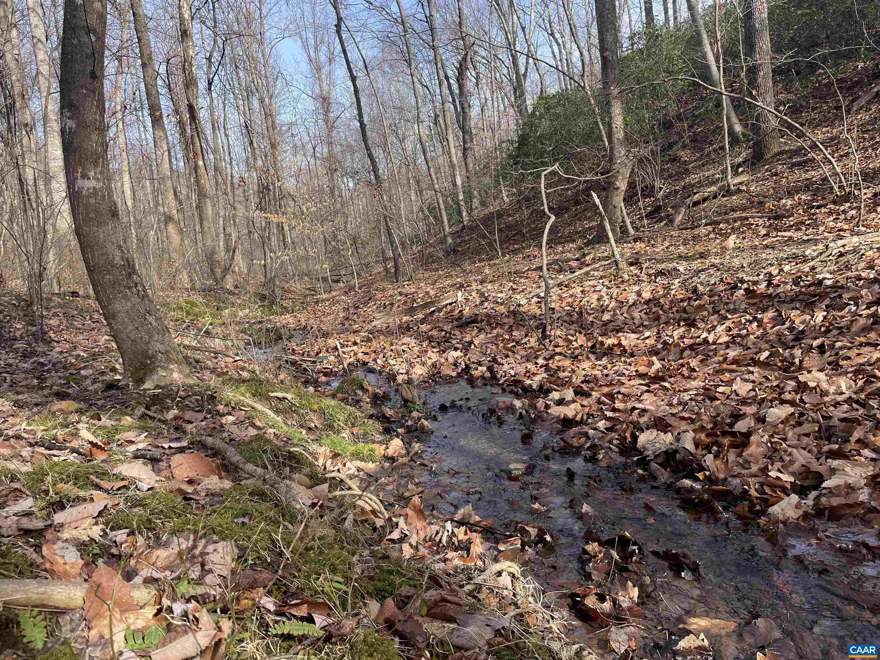 TBD PINE TREE LN Unit: Revised Lot 24
