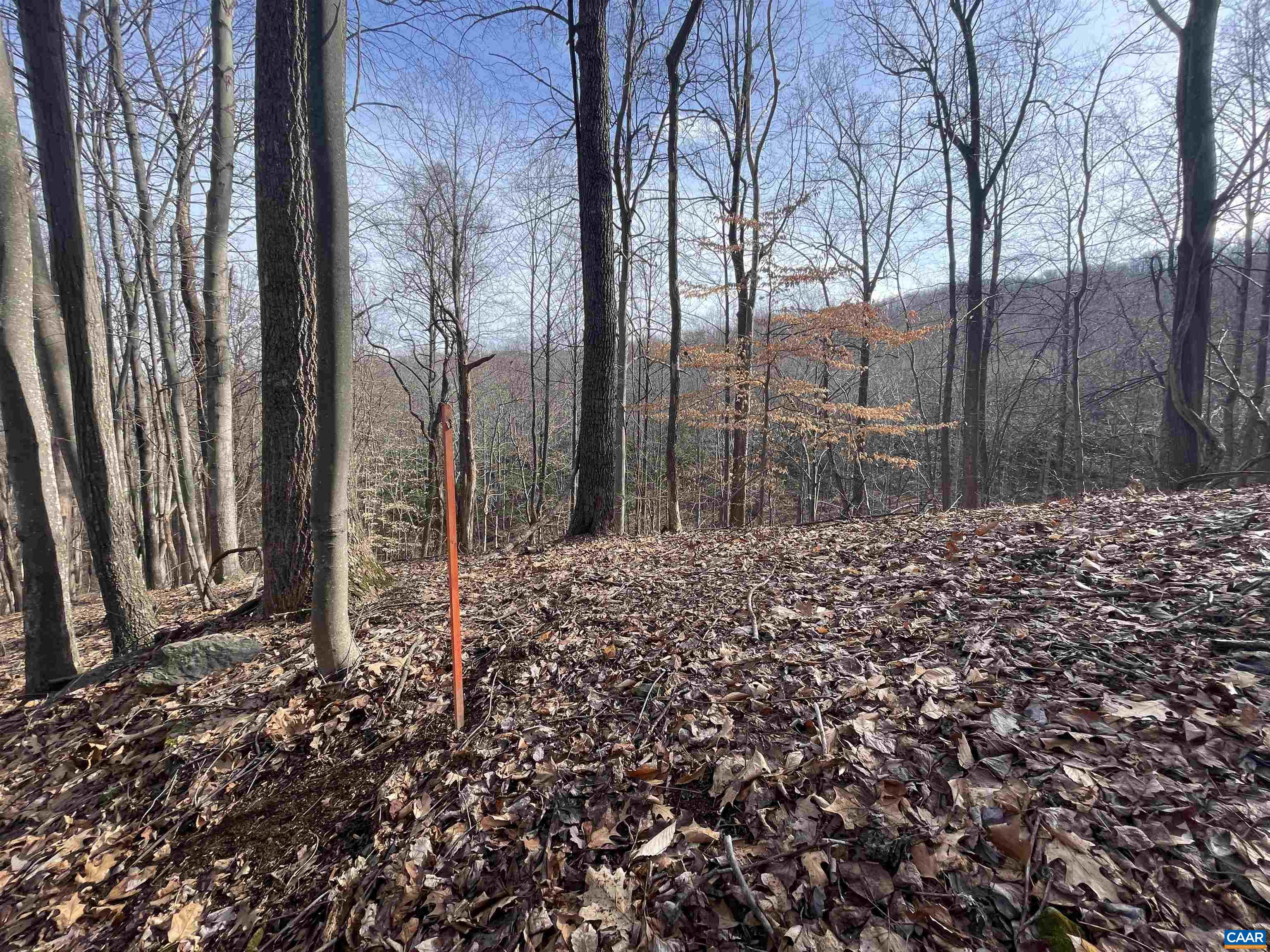 TBD PINE TREE LN Unit: Revised Lot 24