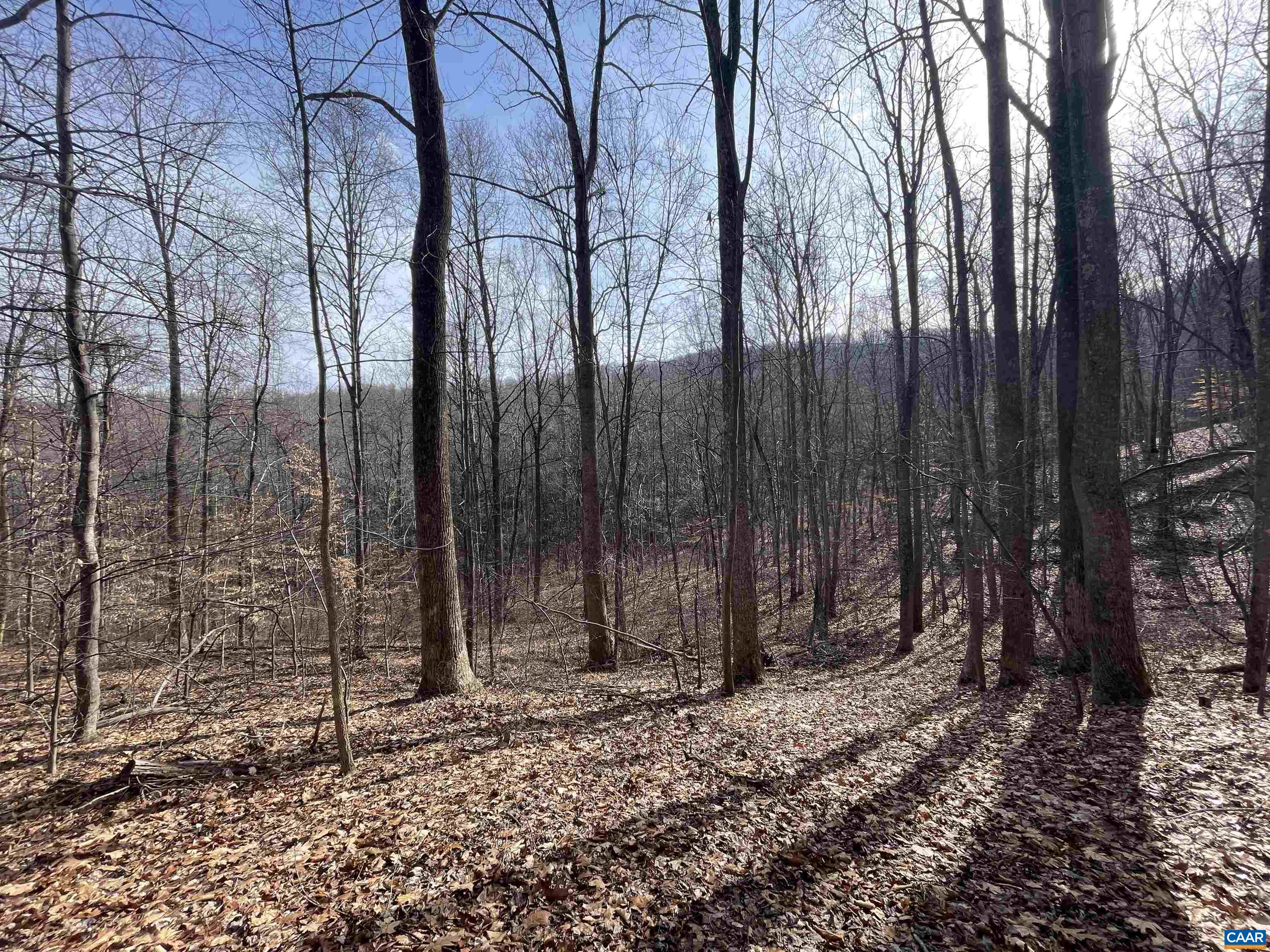 TBD PINE TREE LN Unit: Revised Lot 24