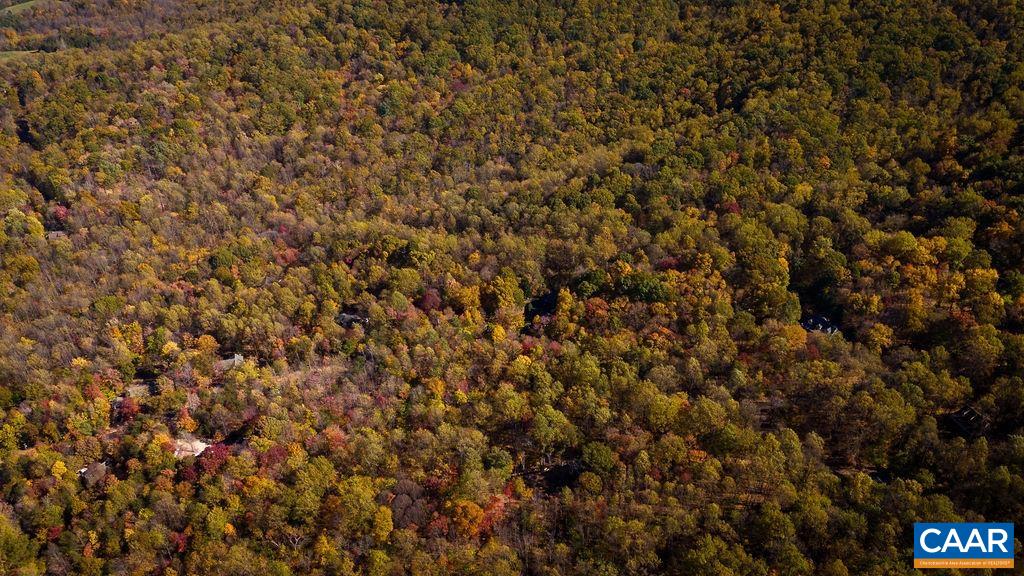 TBD PINE TREE LN Unit: Revised Lot 24