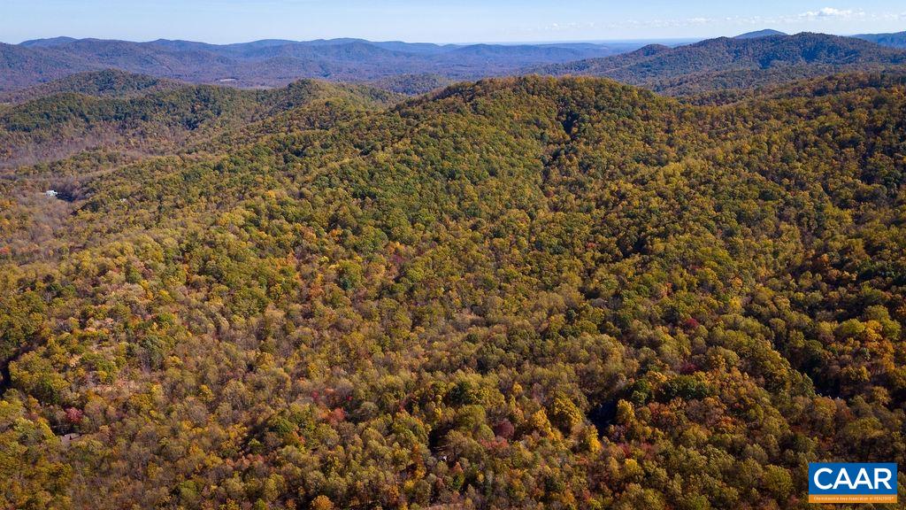 TBD PINE TREE LN Unit: Revised Lot 24