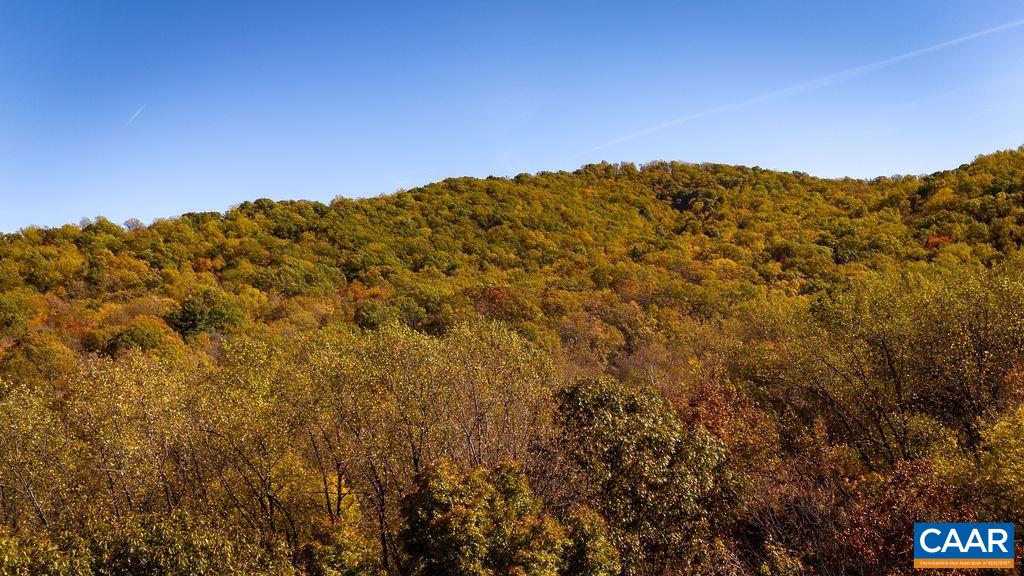 TBD PINE TREE LN Unit: Revised Lot 24