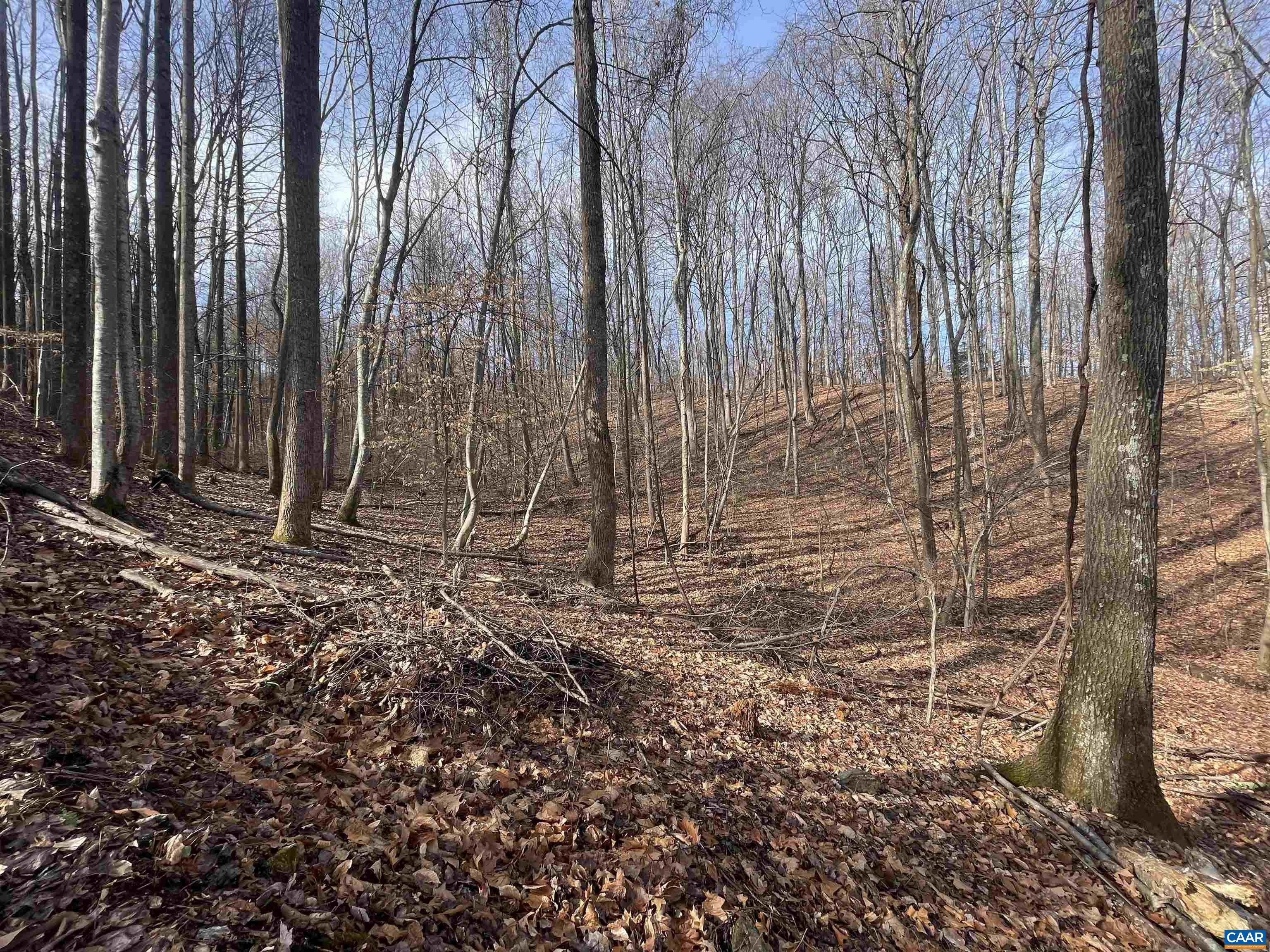 TBD PINE TREE LN Unit: Revised Lot 24