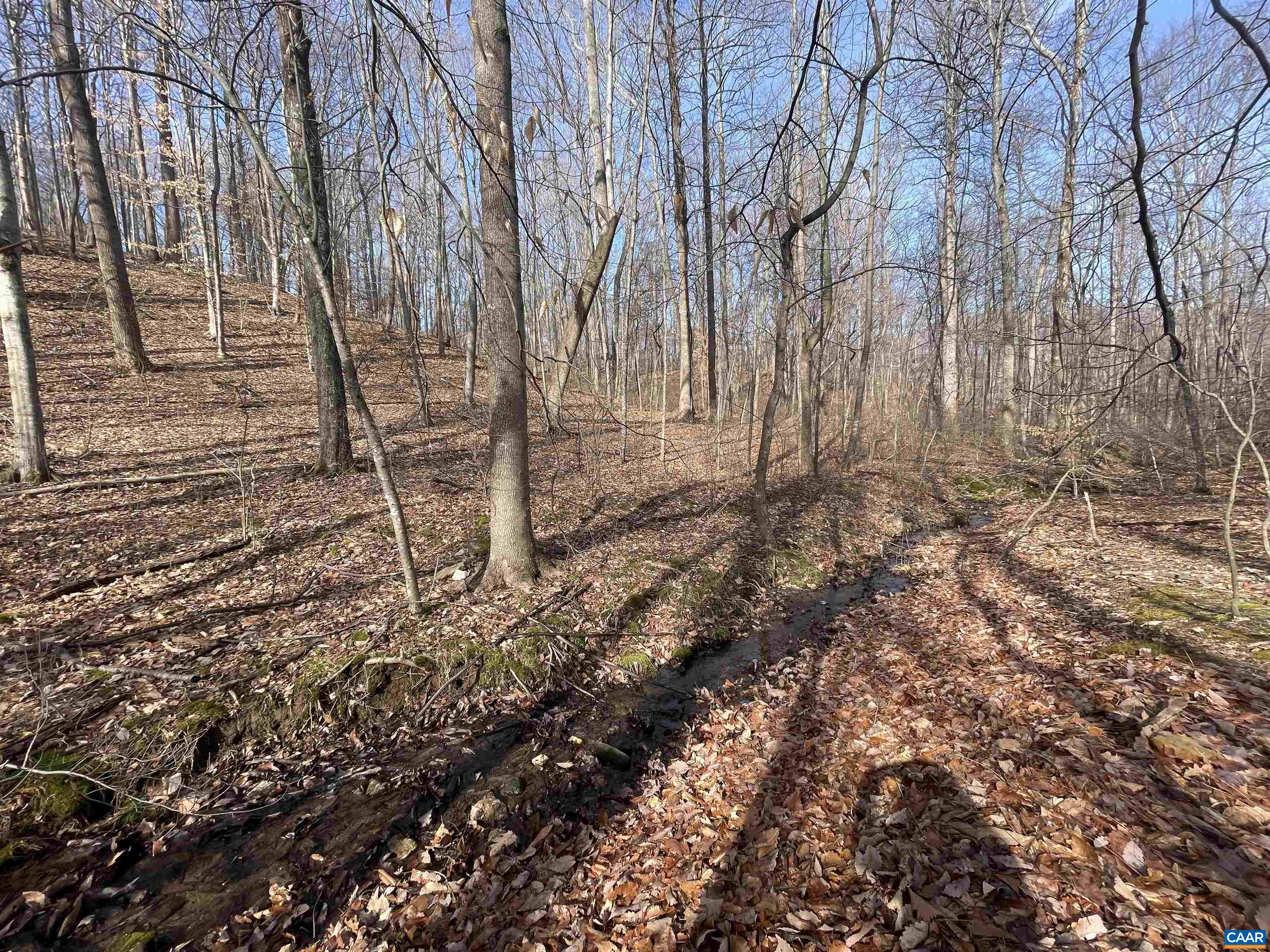 TBD PINE TREE LN Unit: Revised Lot 24