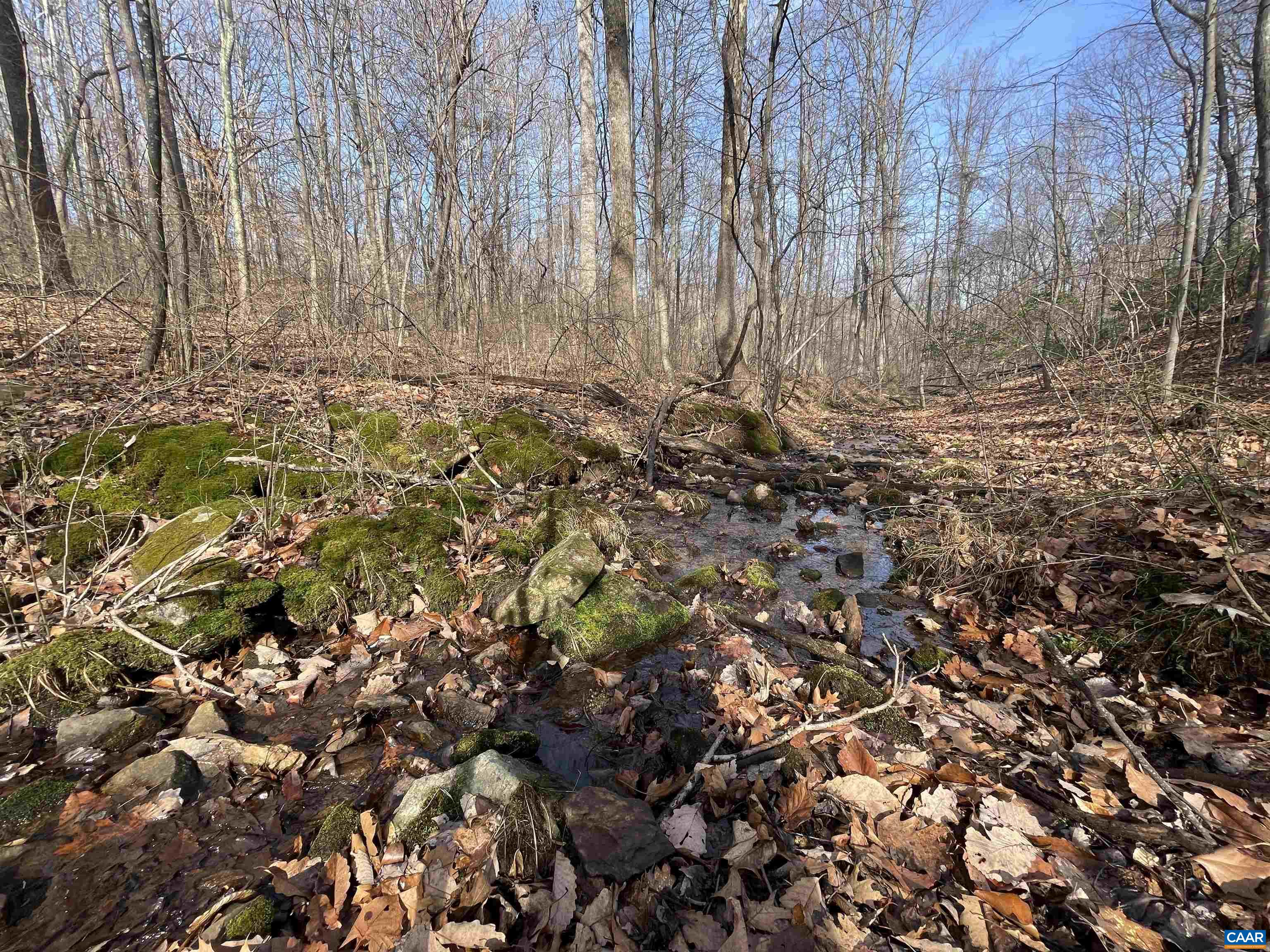 TBD PINE TREE LN Unit: Revised Lot 24