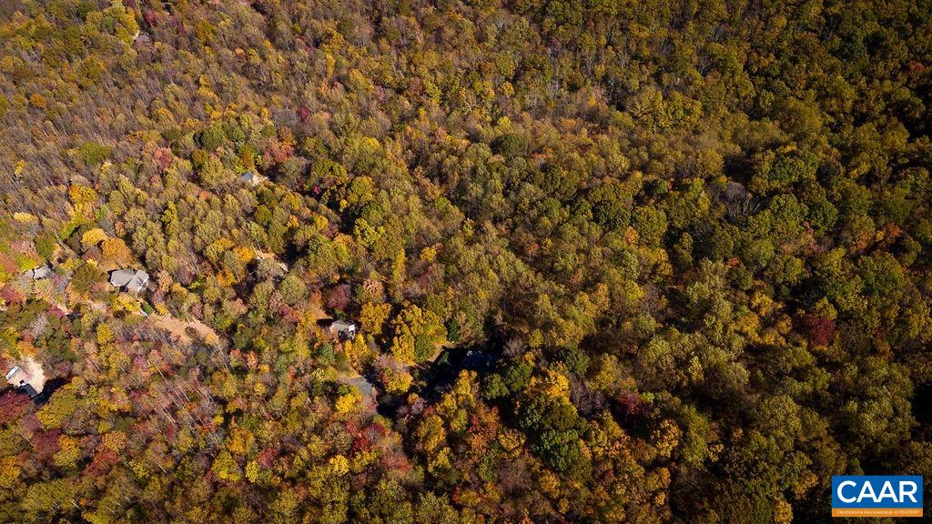 TBD PINE TREE LN Unit: Revised Lot 24