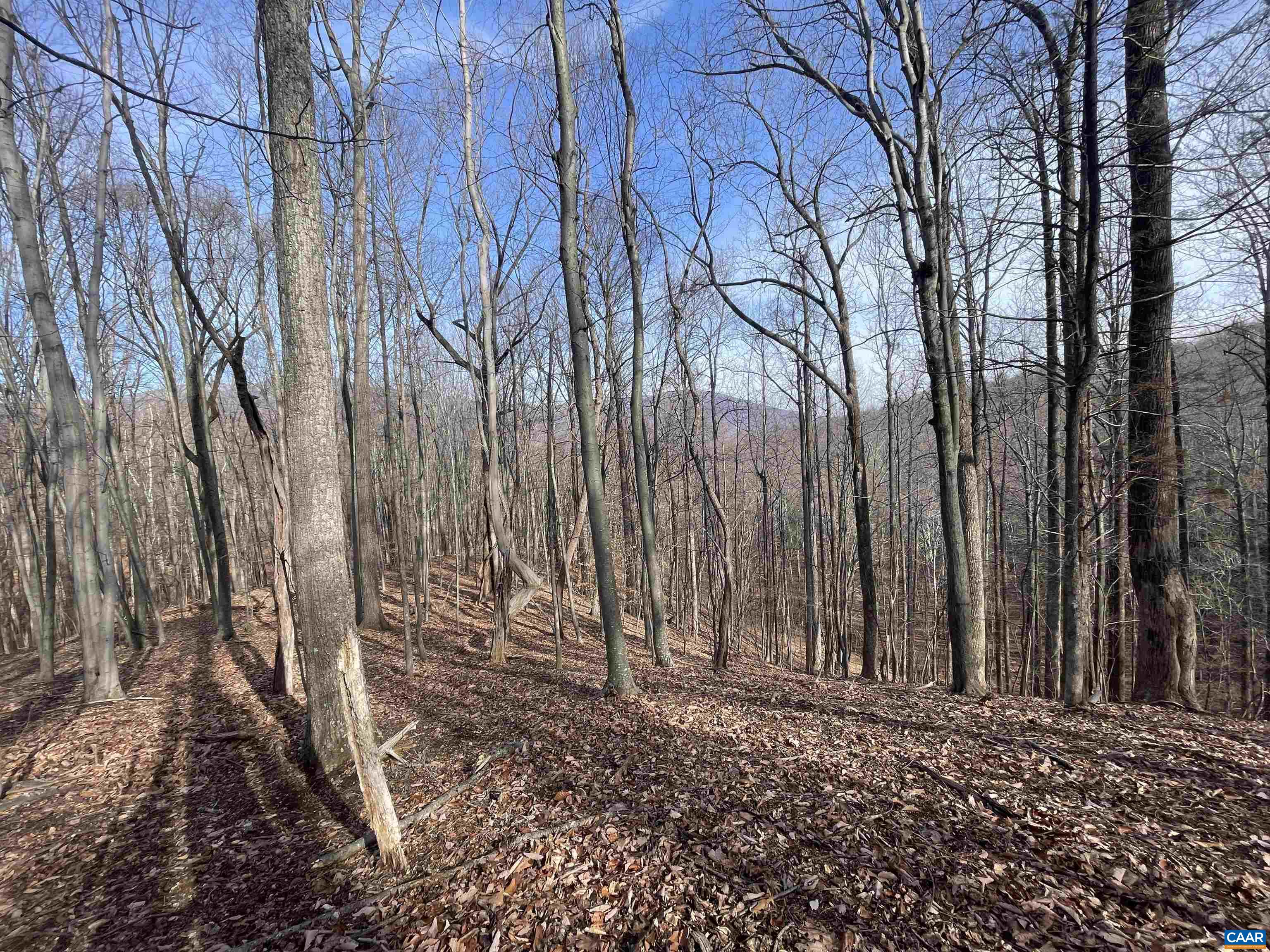 TBD PINE TREE LN Unit: Revised Lot 24