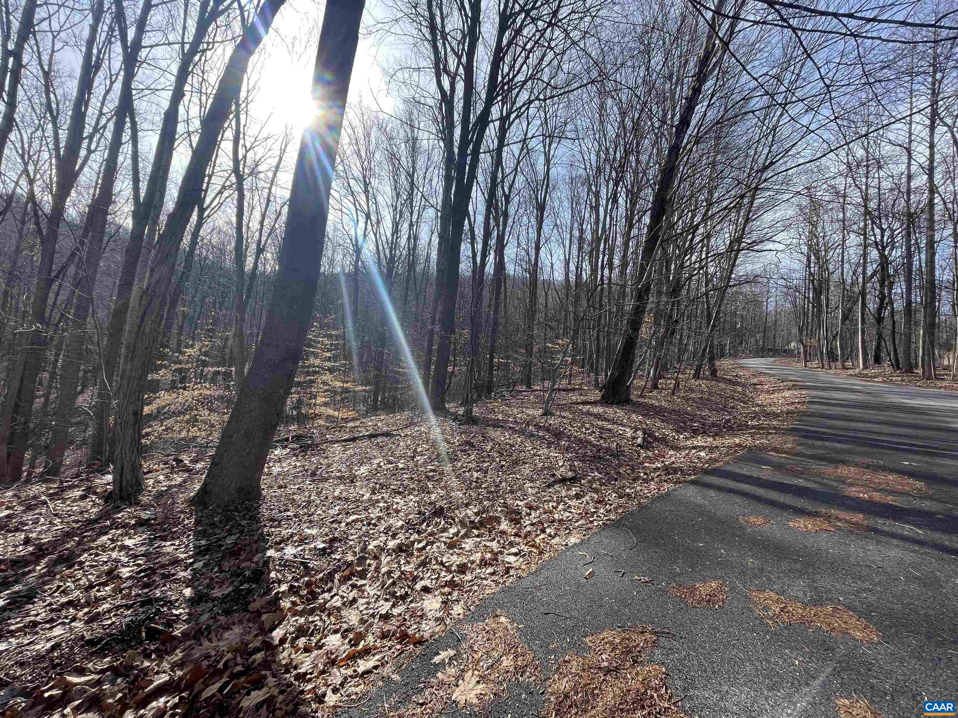 TBD PINE TREE LN Unit: Revised Lot 24