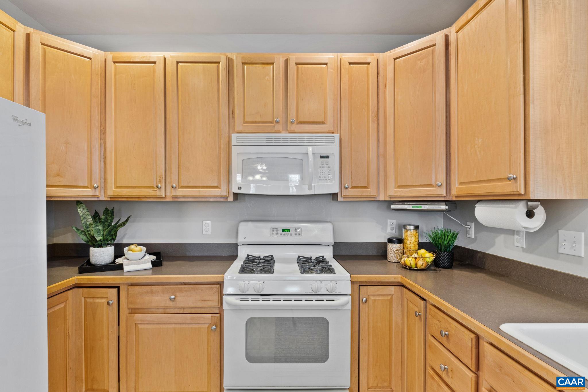 1103 AUTUMN HILL CT
