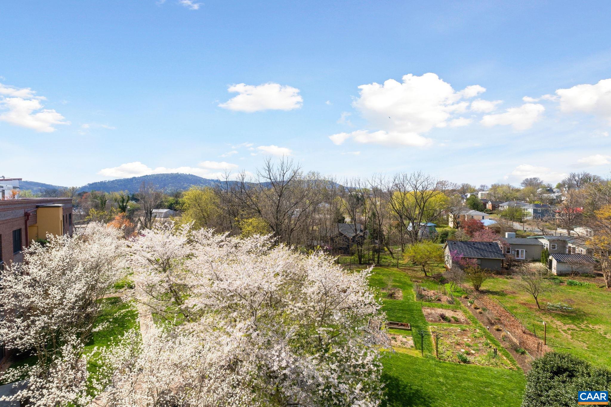 202 DOUGLAS AVE Unit: 3E