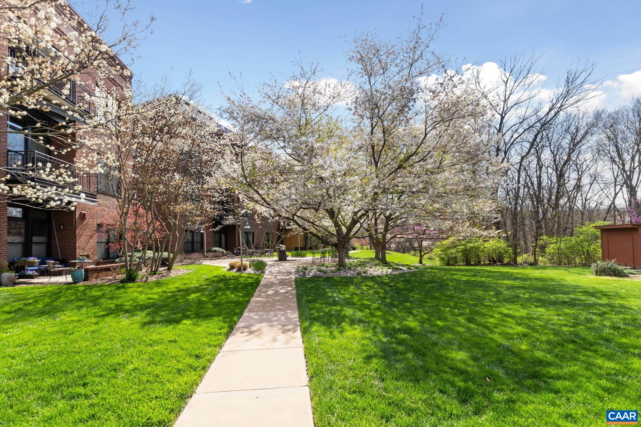 202 DOUGLAS AVE Unit: 3E