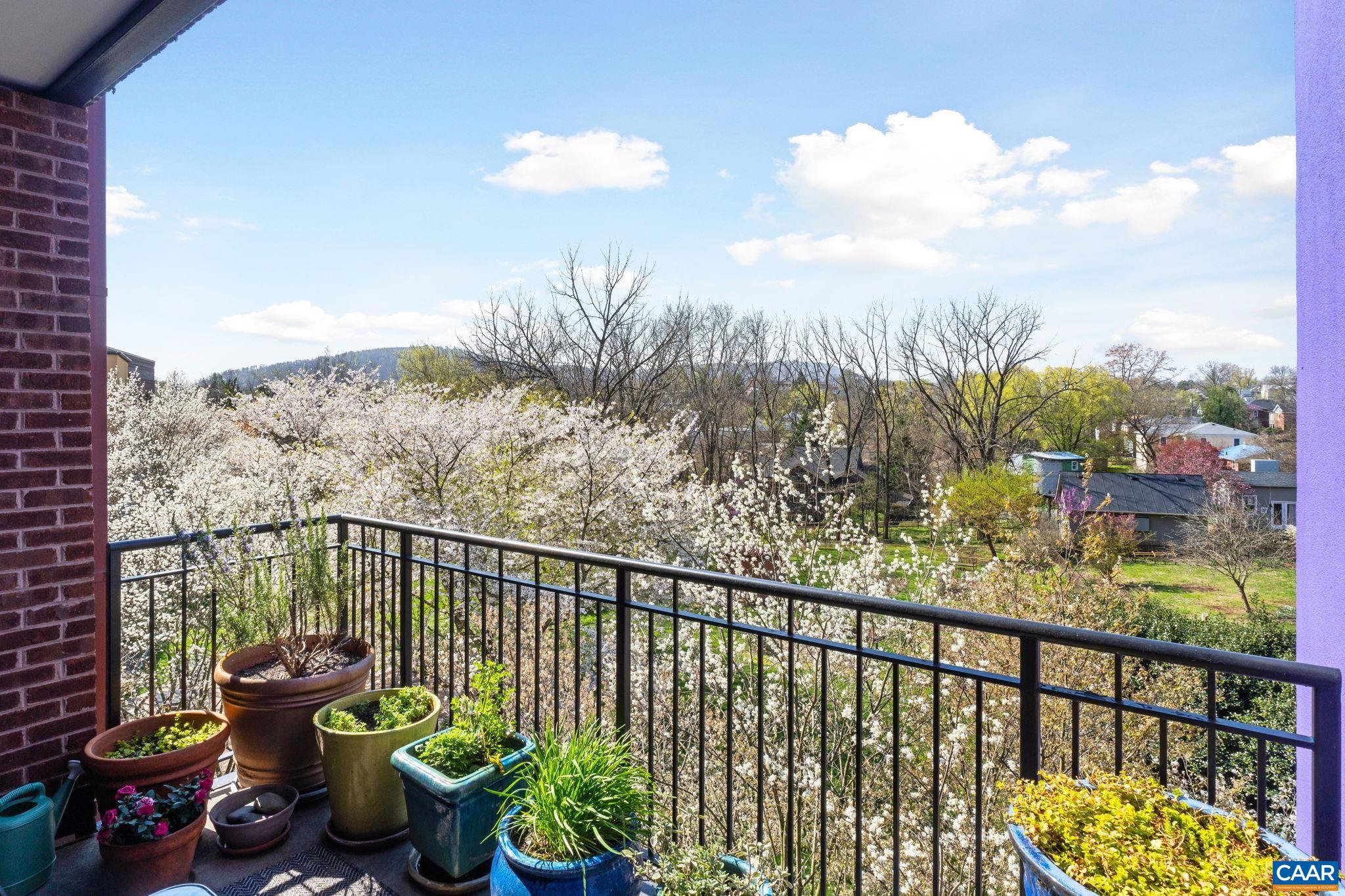 202 DOUGLAS AVE Unit: 3E