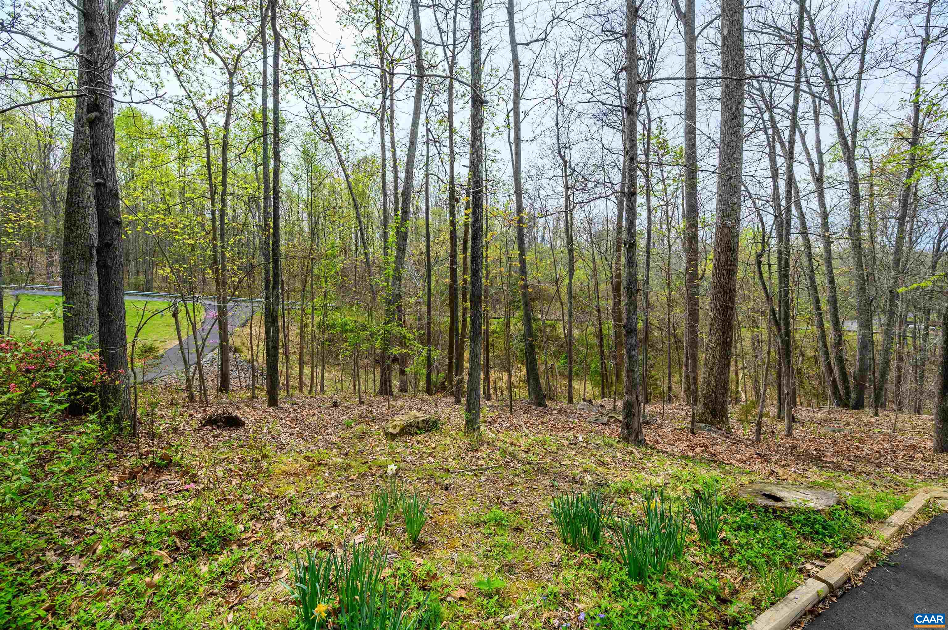 1745 STONEY CREEK DR