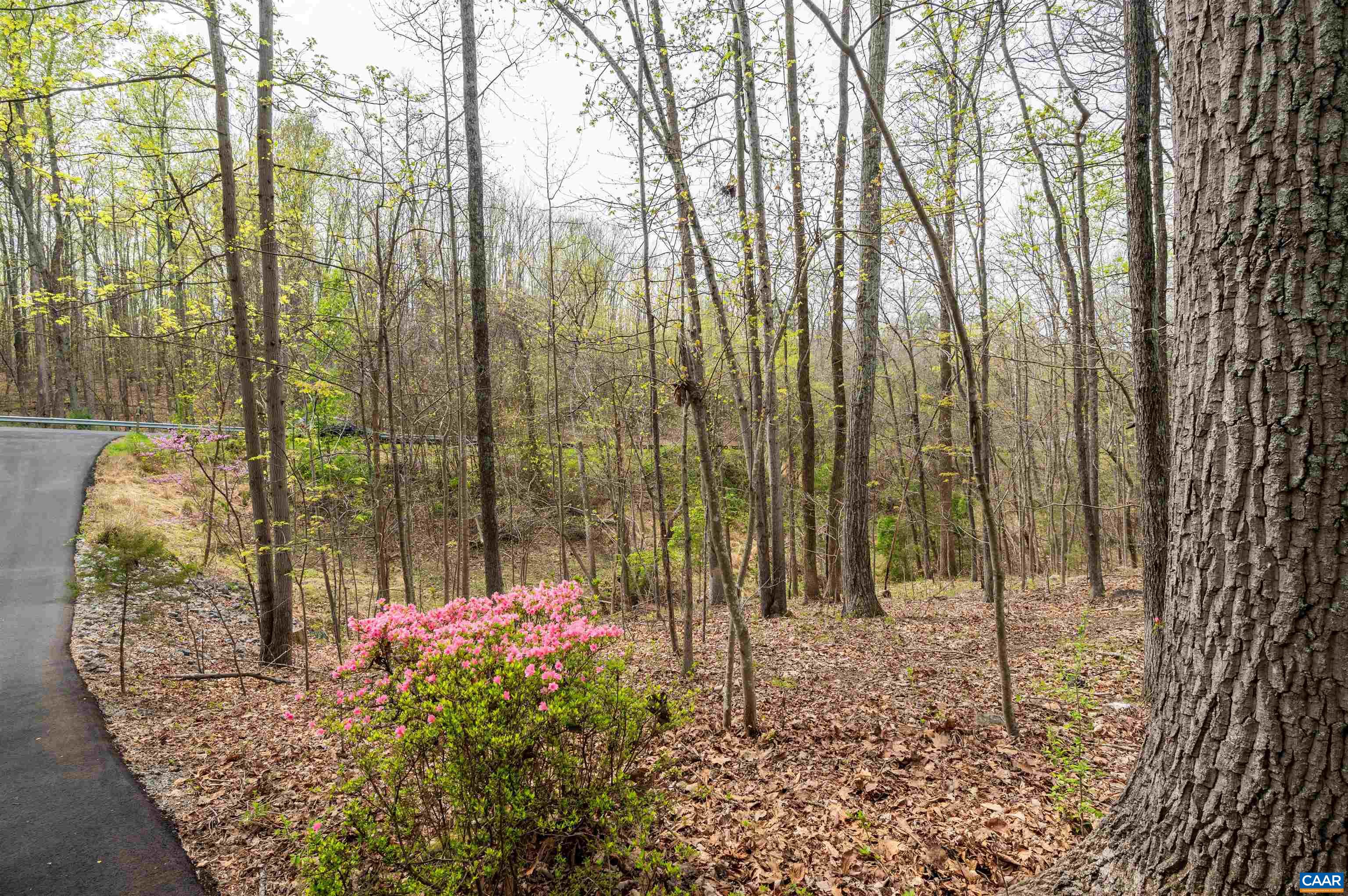 1745 STONEY CREEK DR