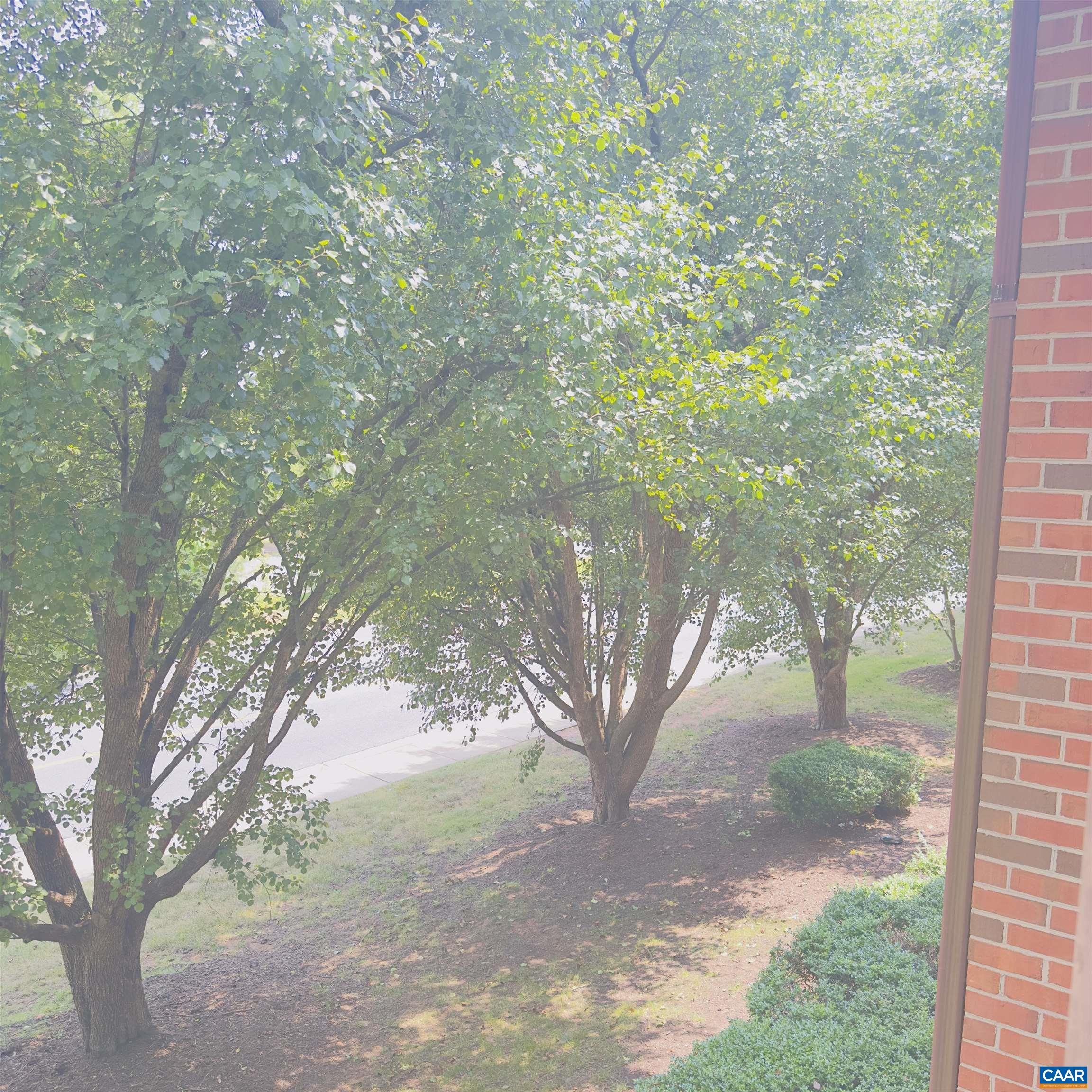 139 GREEN TURTLE LN Unit: 6