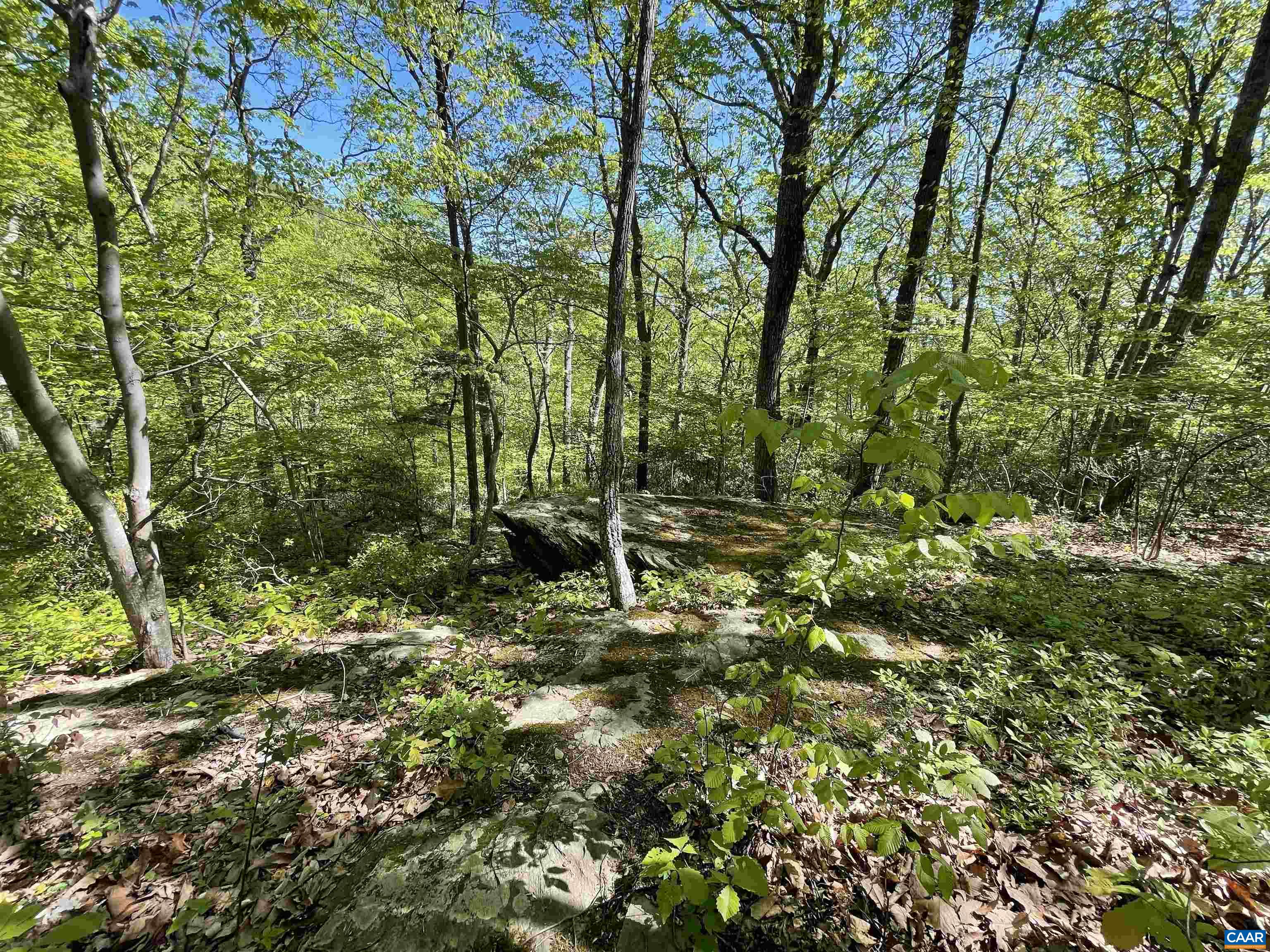 37 GRAY SQUIRREL LN