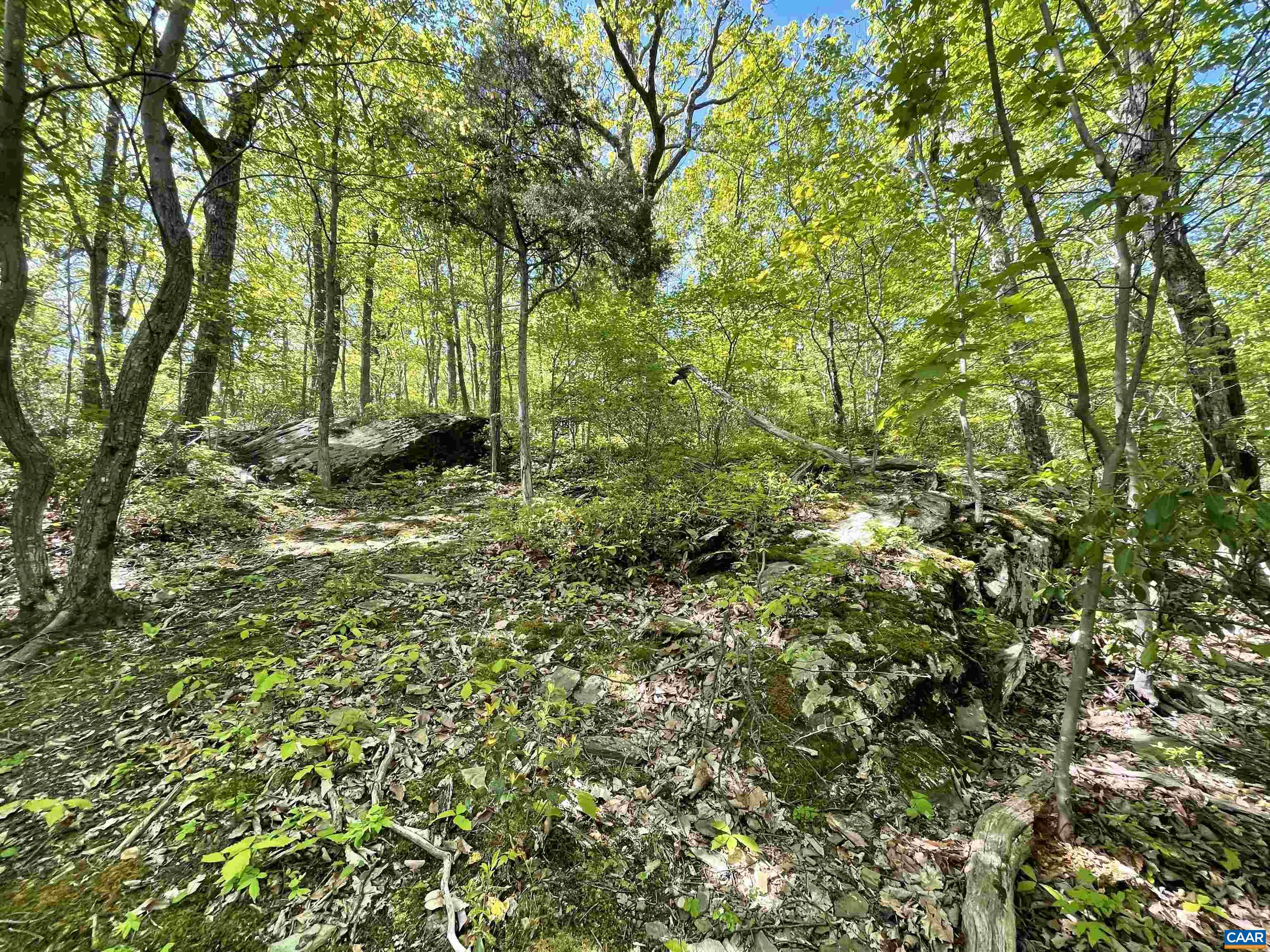 37 GRAY SQUIRREL LN