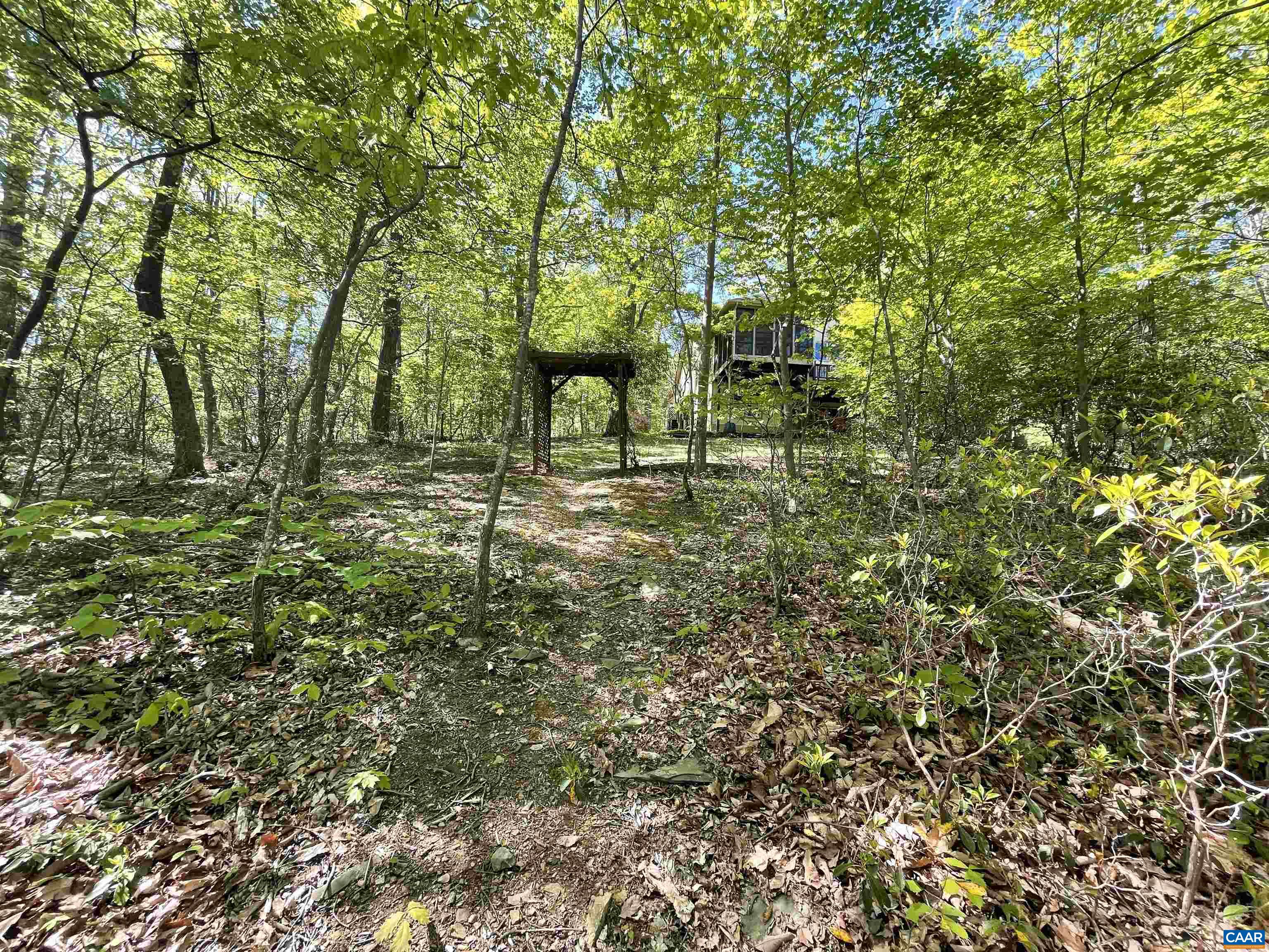 37 GRAY SQUIRREL LN