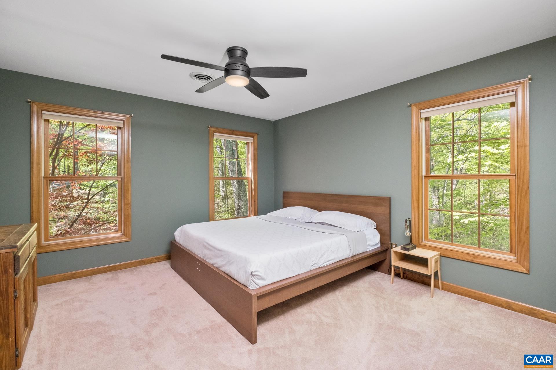 37 GRAY SQUIRREL LN