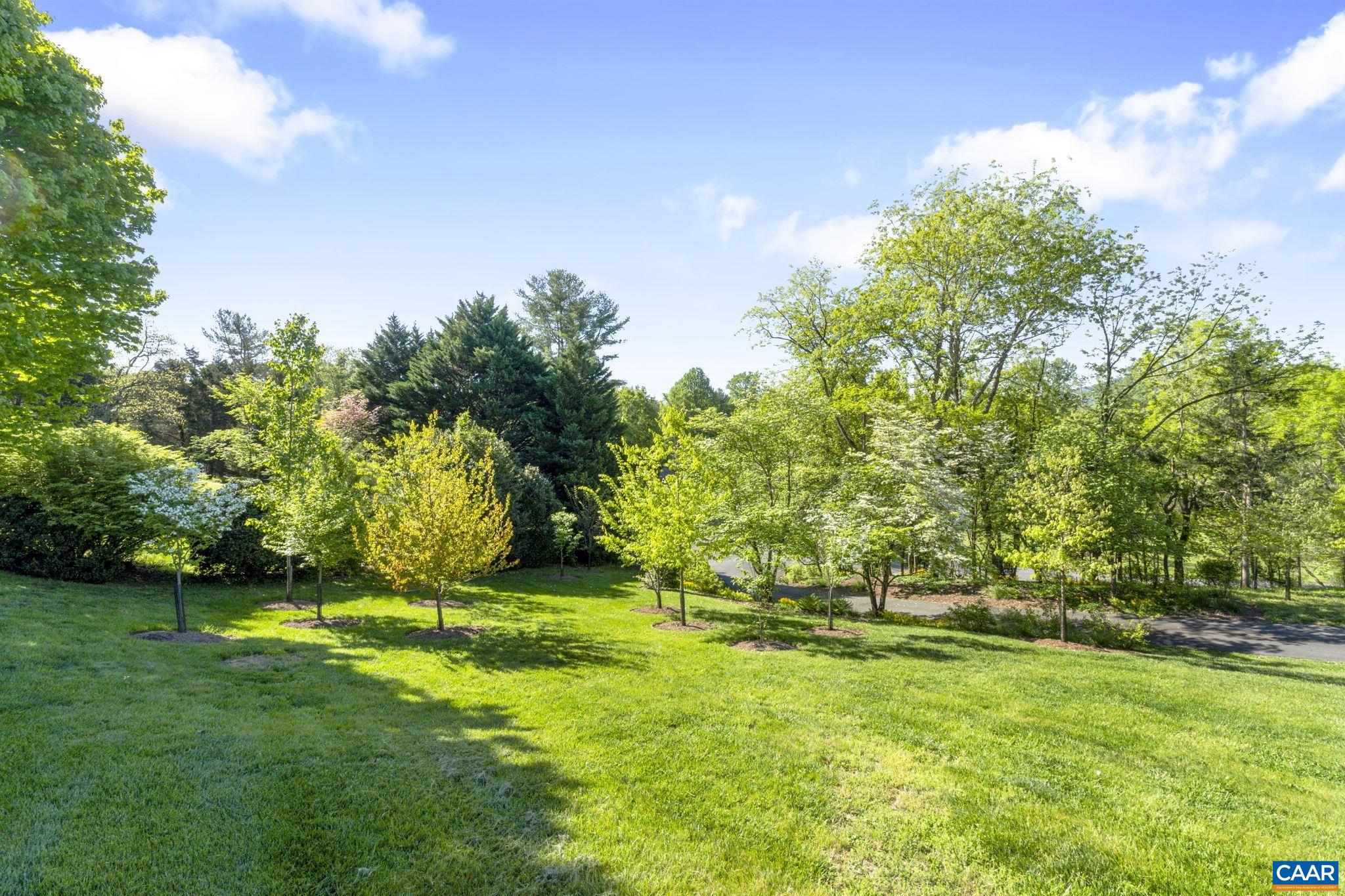 1636 FRANKLIN DR