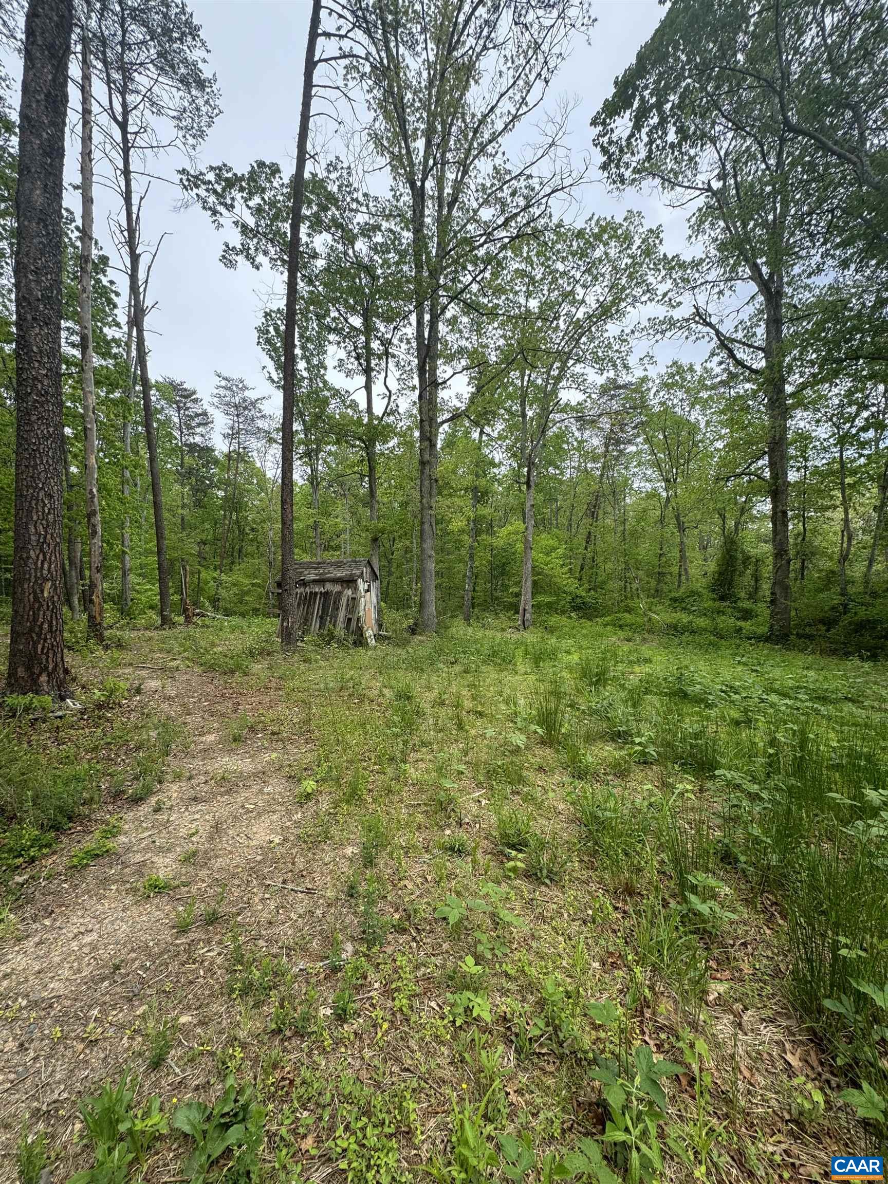 3689 PRESIDENTS RD
