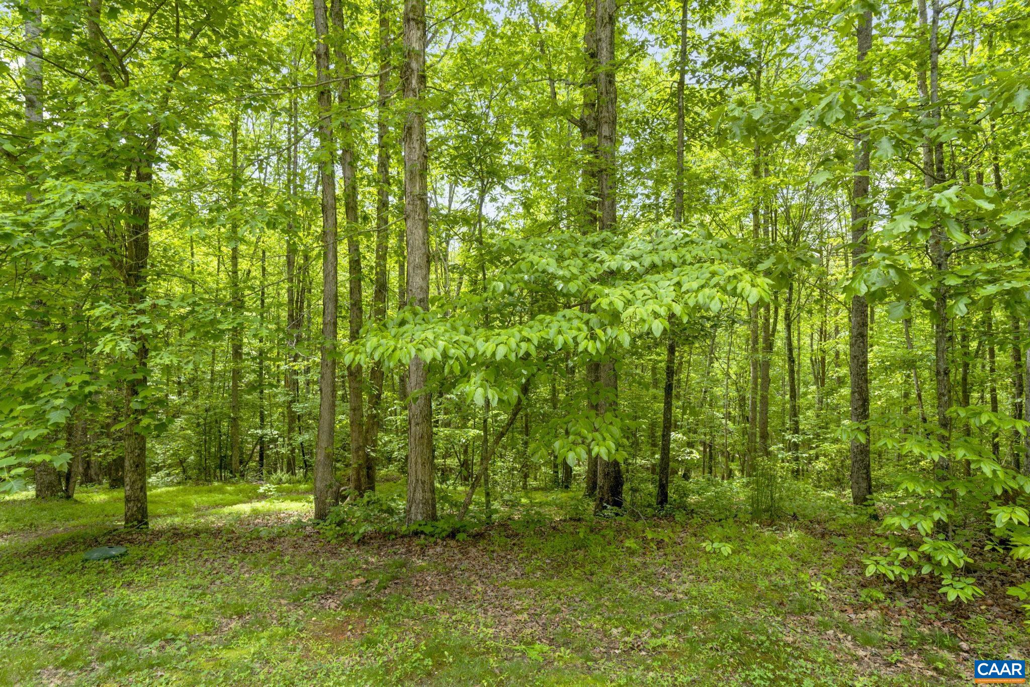 5377 HAVENWOOD LN