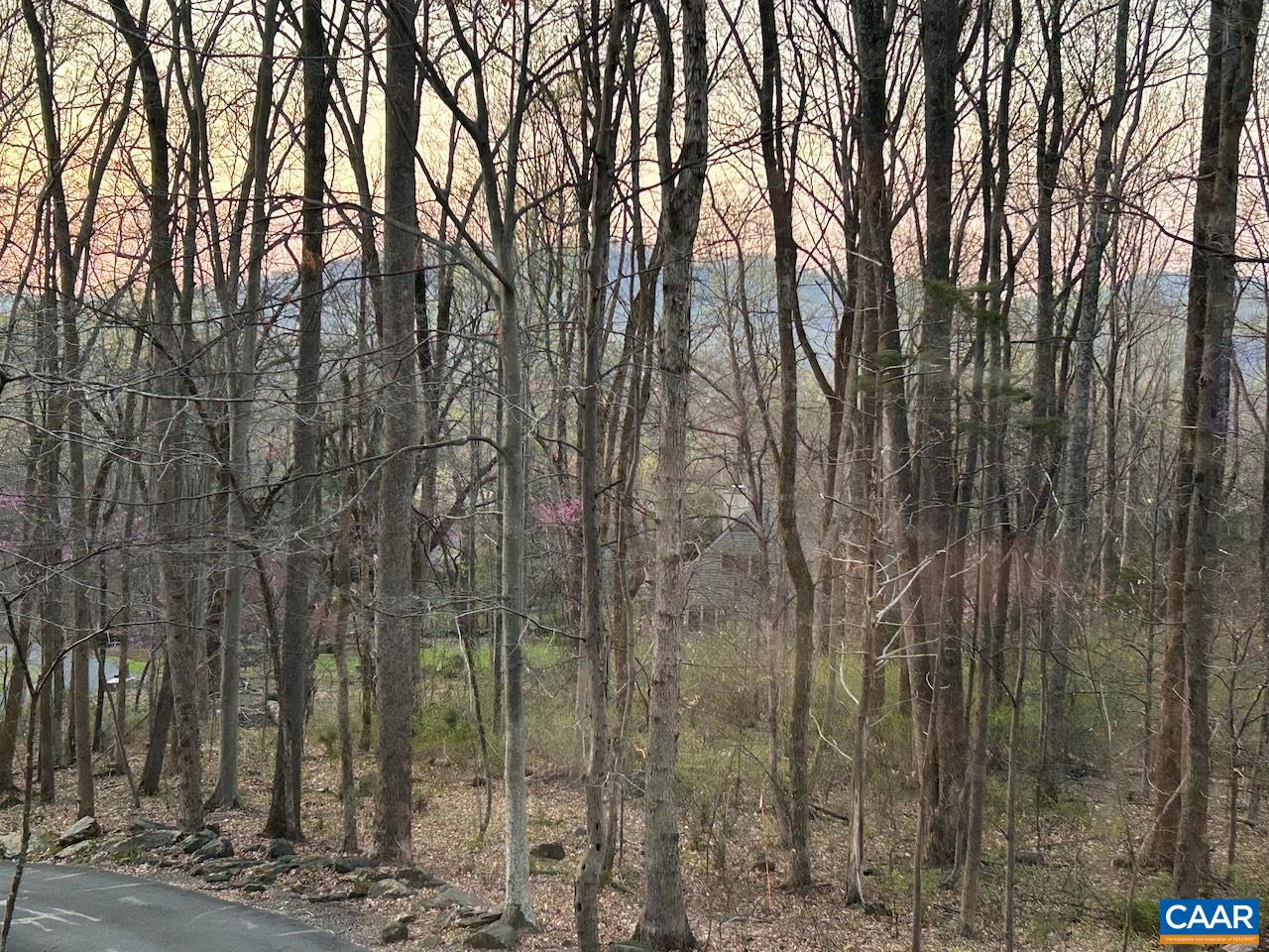 243 STONE CHIMNEYS RD