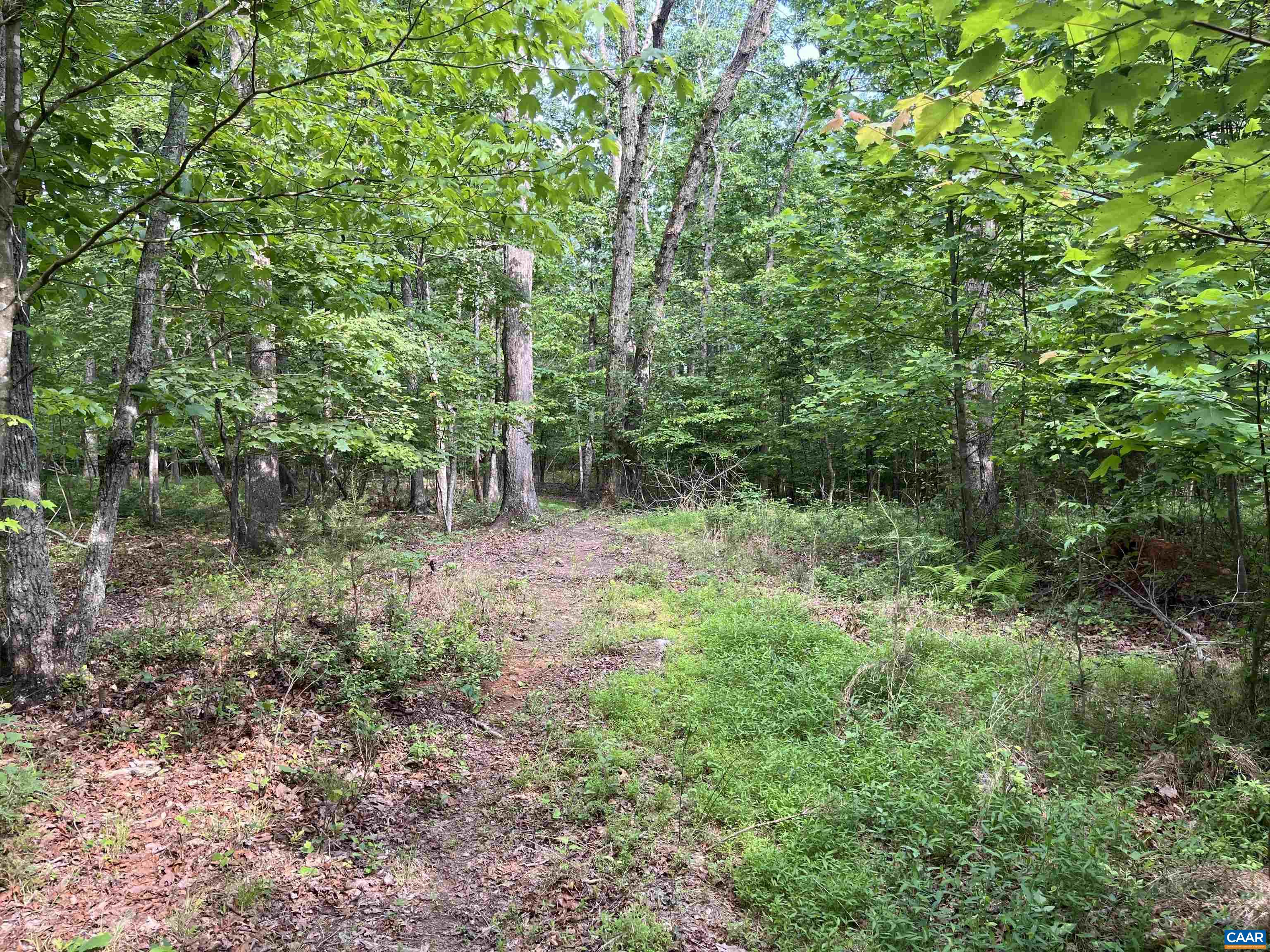TBD RAMBLING RD Unit: 29
