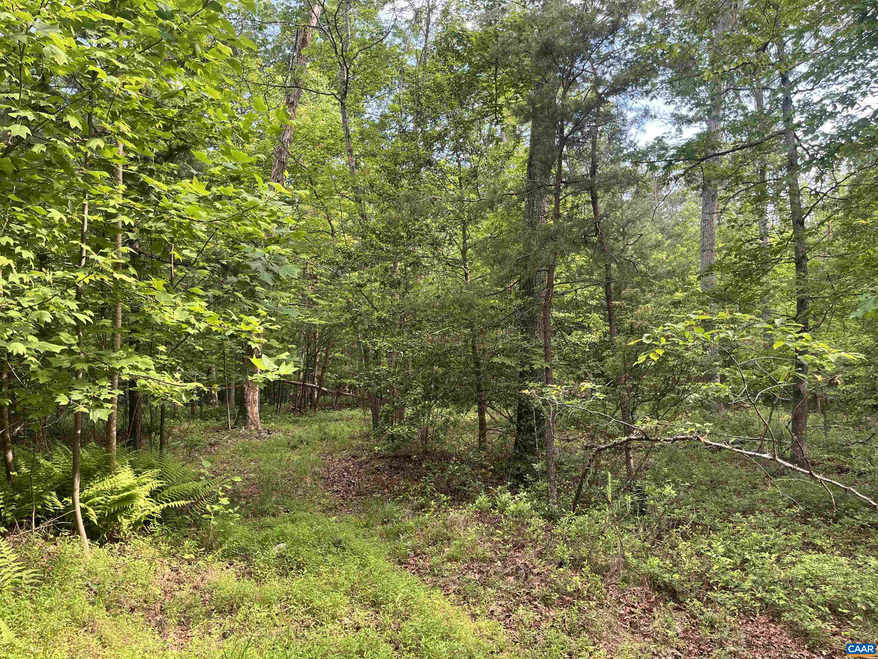 TBD RAMBLING RD Unit: 29