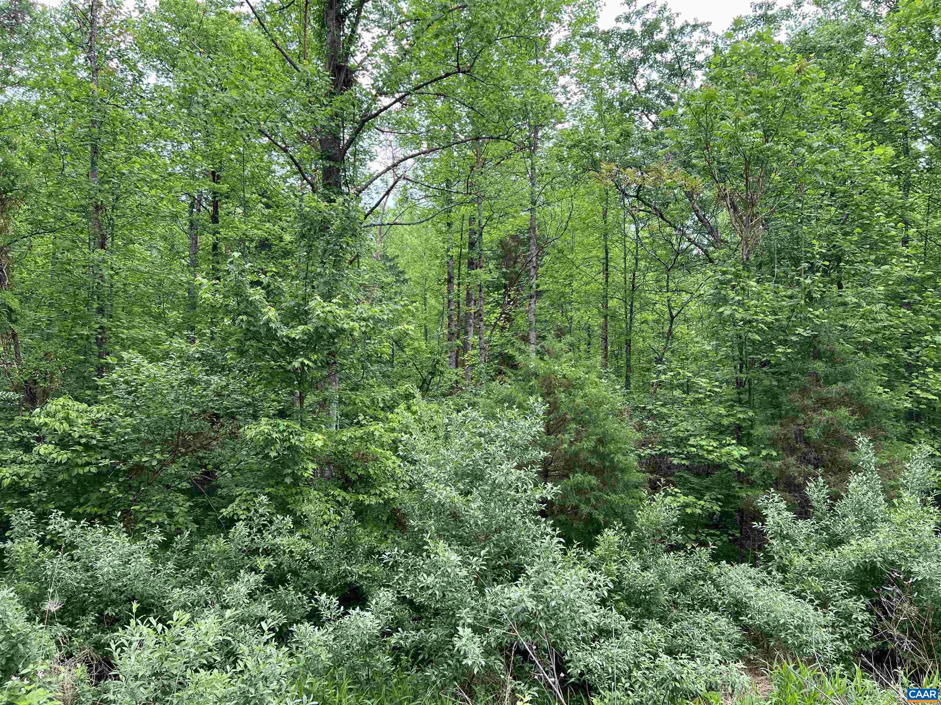 Lot B and C MONTVIEW DR Unit: B&C