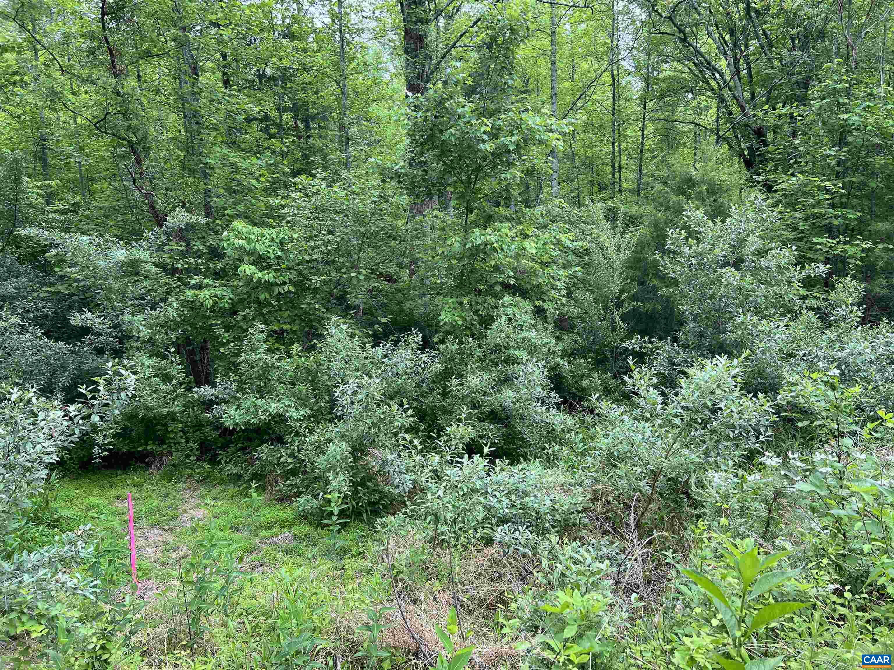 Lot B and C MONTVIEW DR Unit: B&C