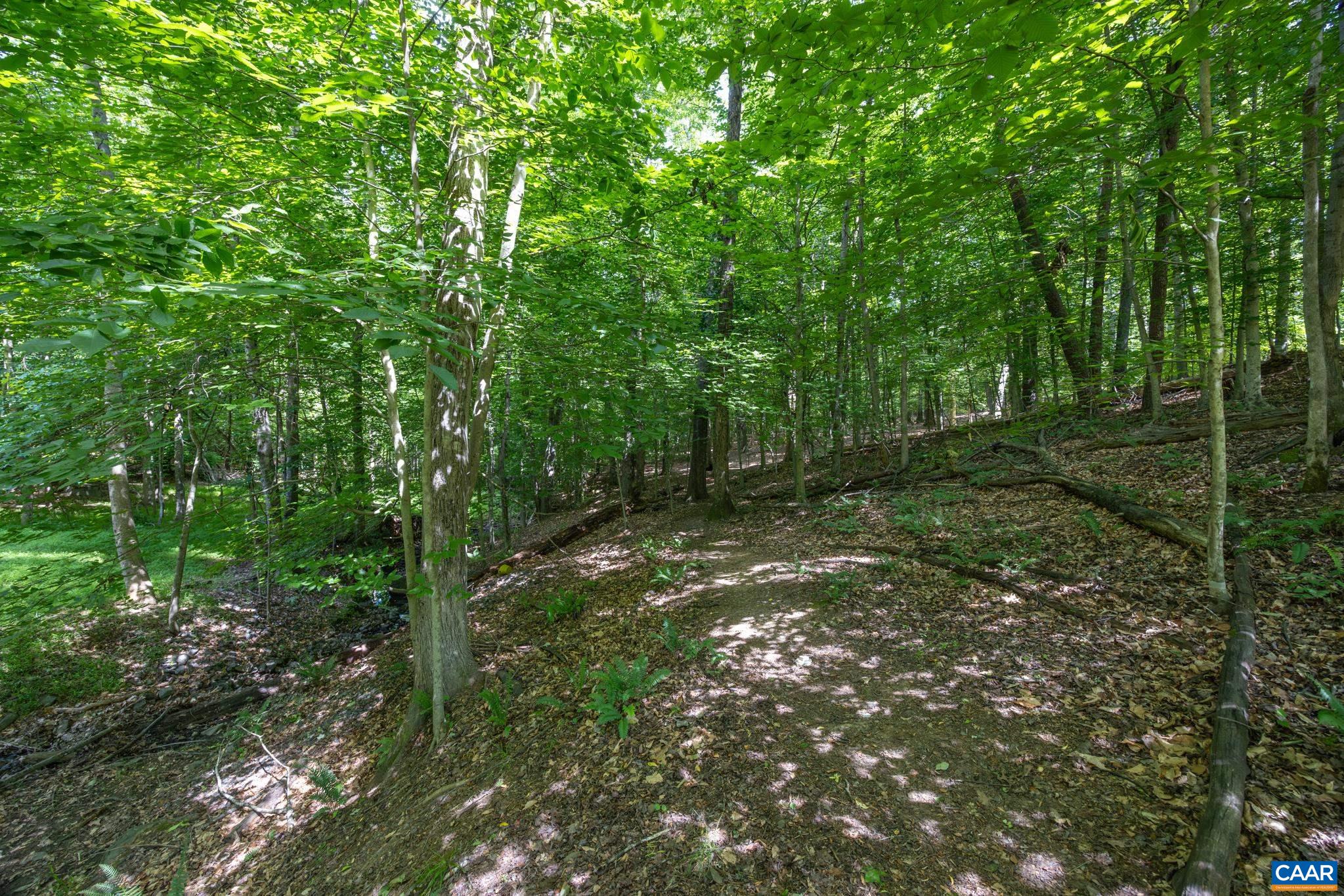 3221 POPLAR RIDGE RD