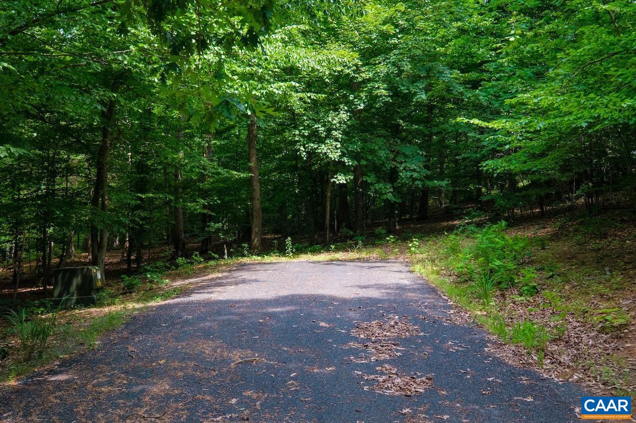 BEECH TREE CT Unit: 12