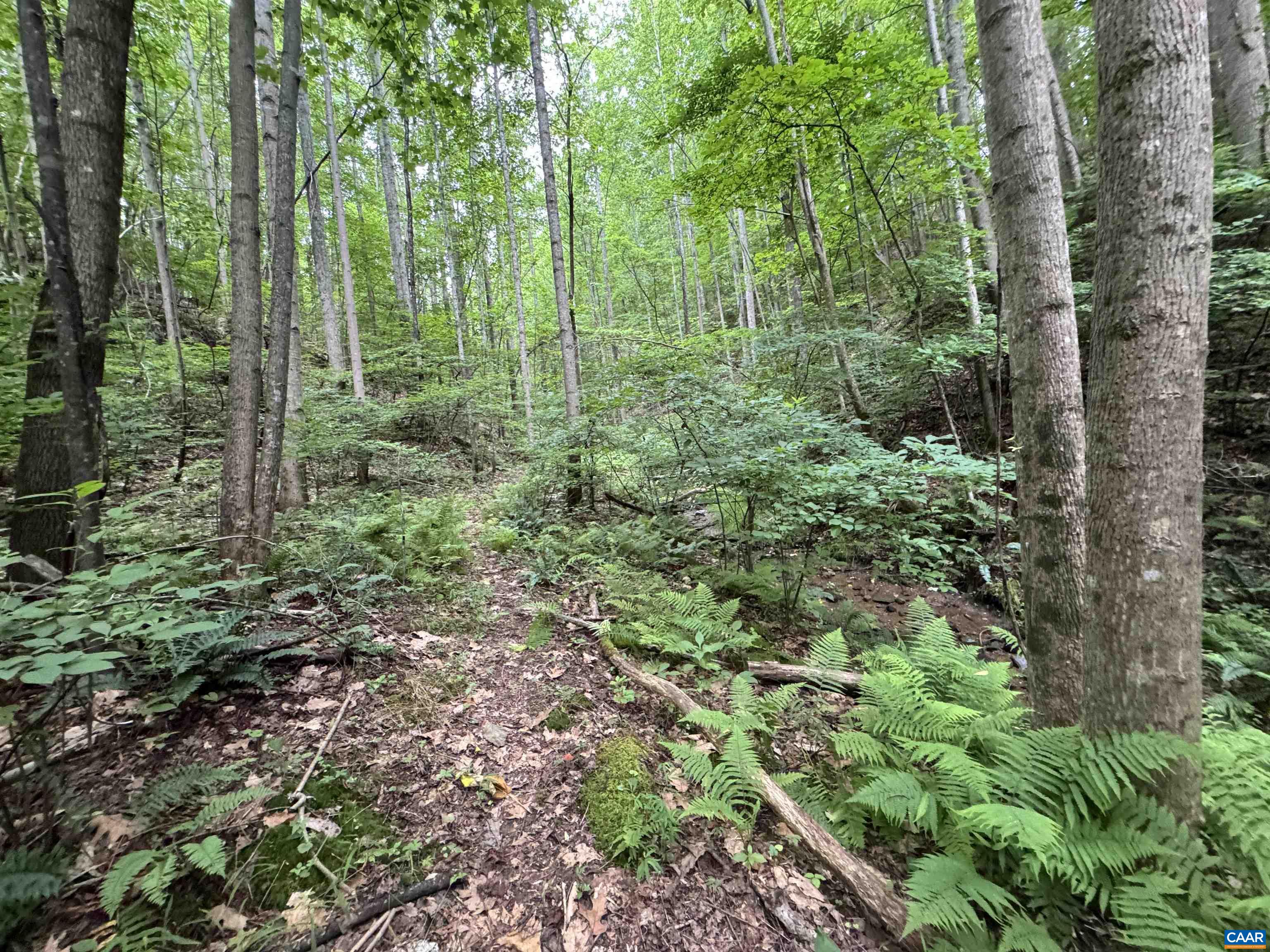 TBA GLENTHORNE LOOP