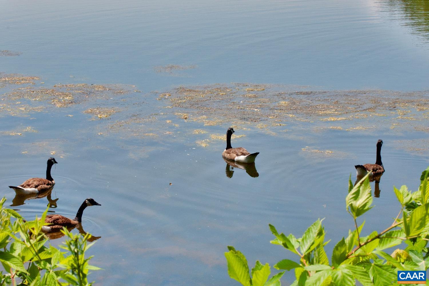 1915 ENGLISH OAKS CIR N