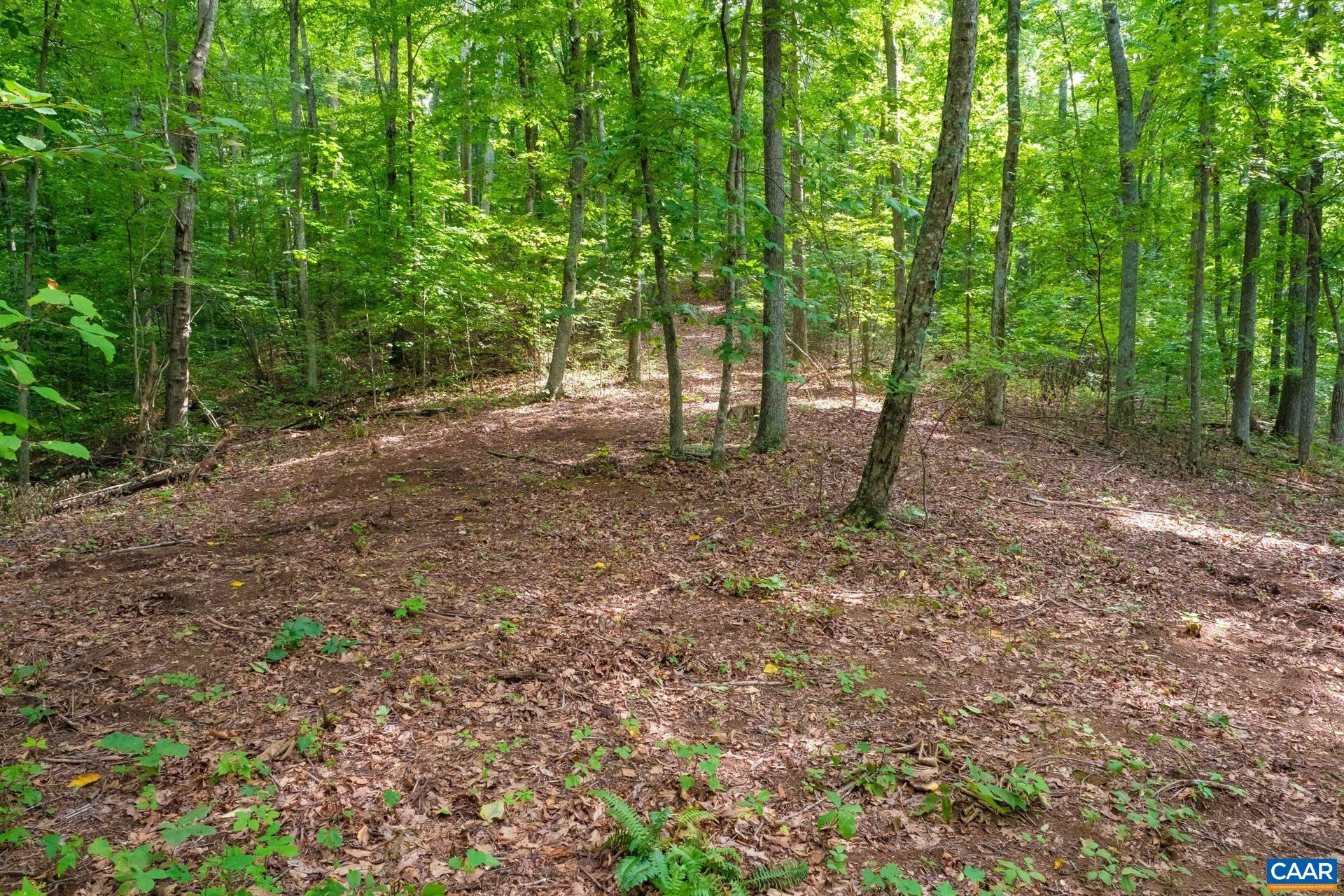 LEWIS LN
