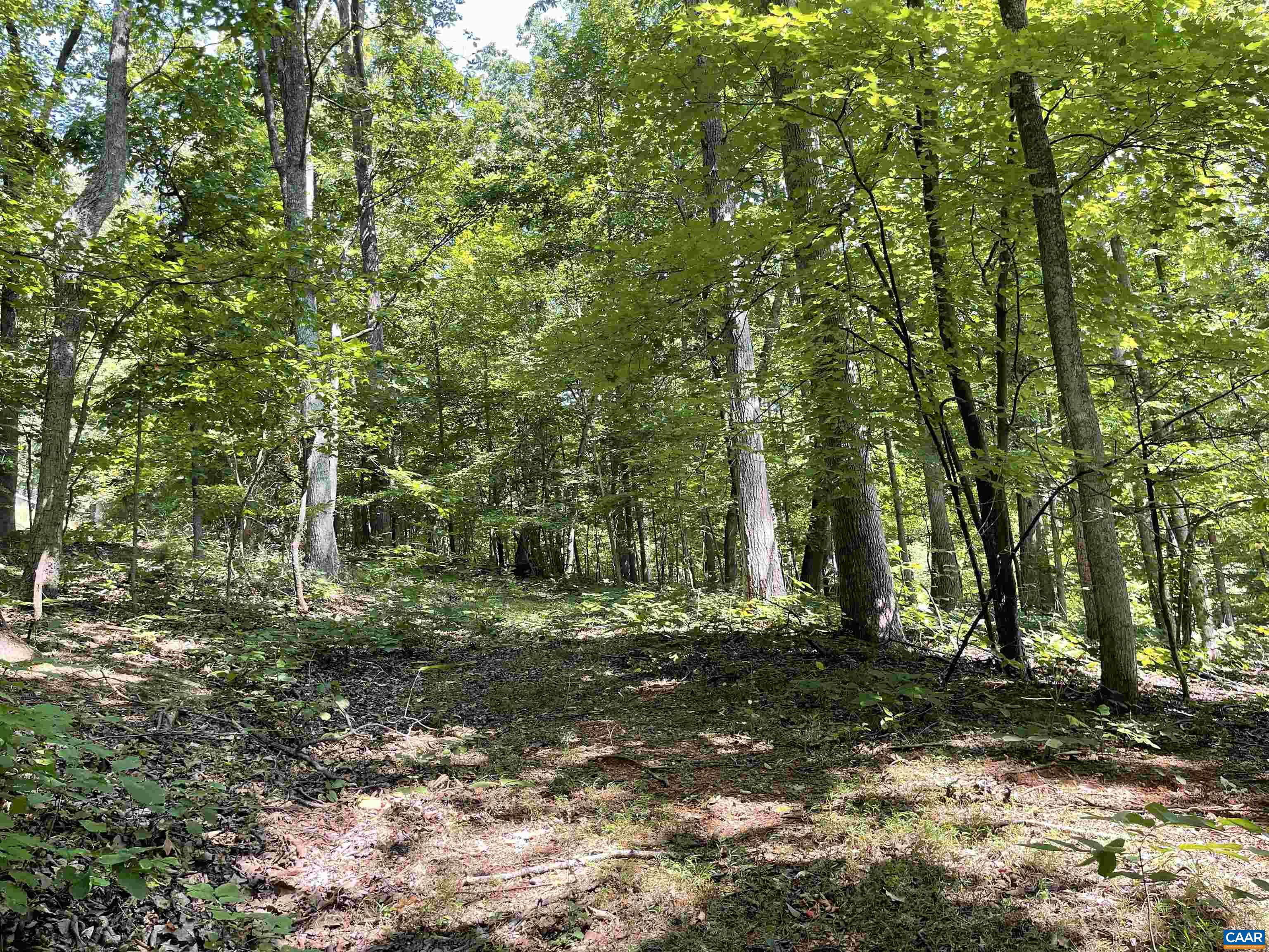 633 STONE CHIMNEYS RD