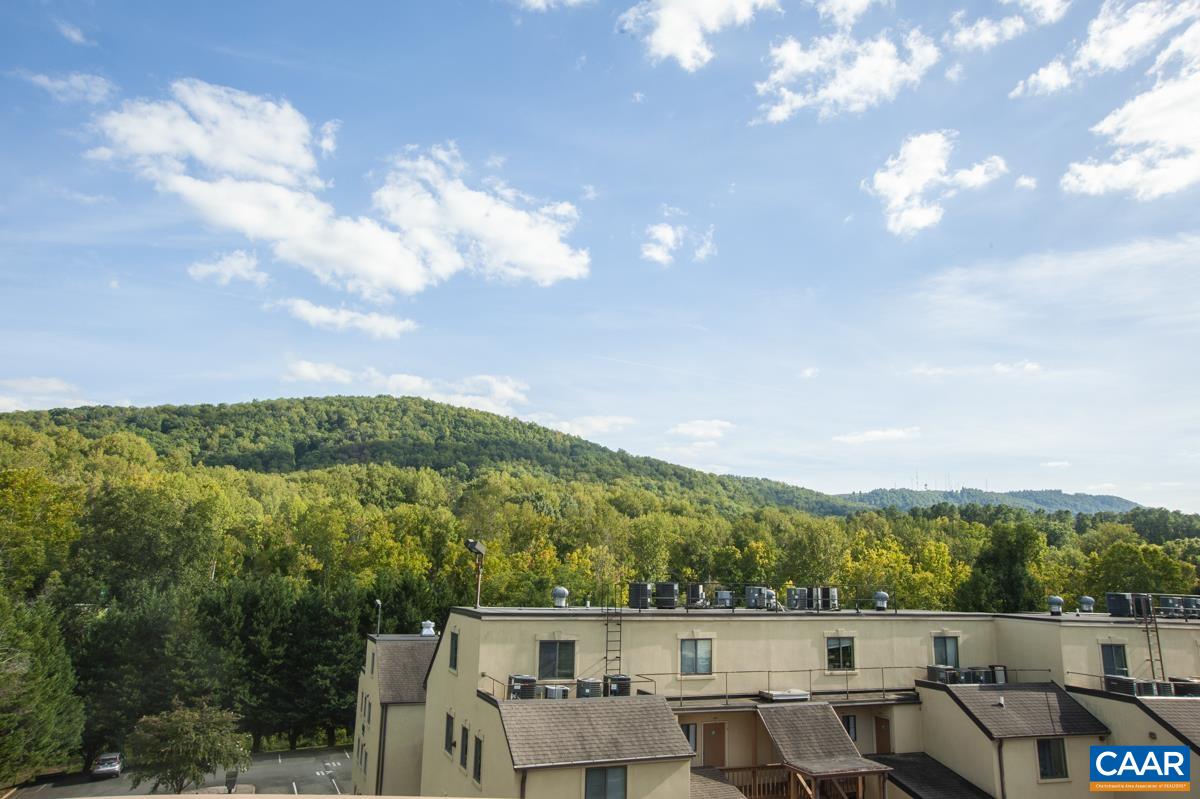 1013 LINDEN AVE Unit: M