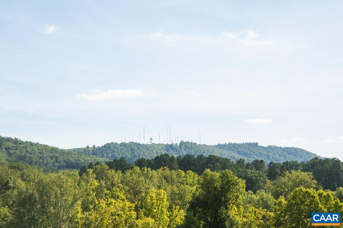 1013 LINDEN AVE Unit: M