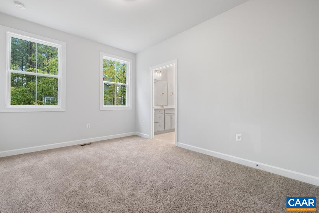 96 PINE SHADOW CT