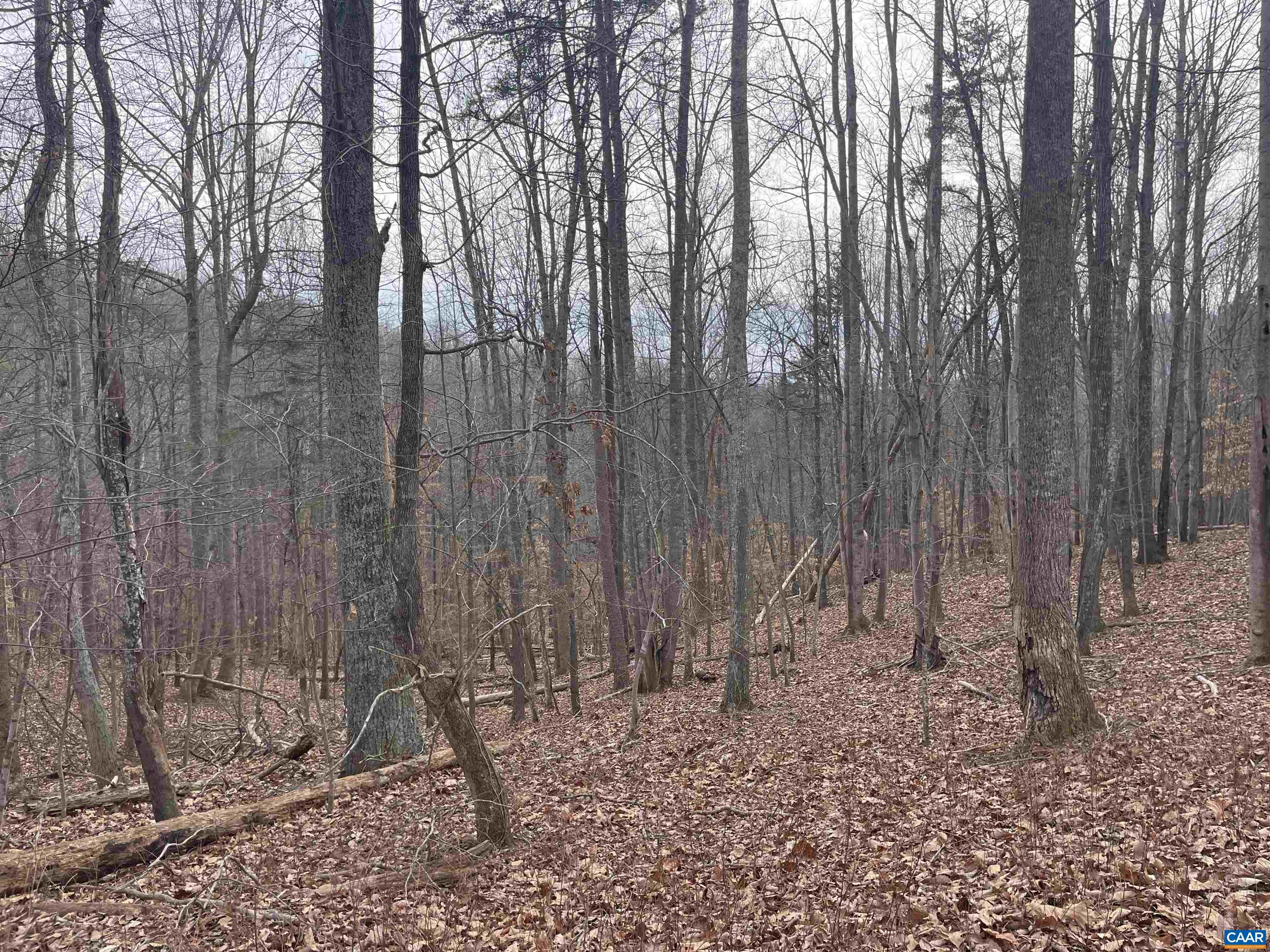 Lot 12 ENNIS MOUNTAIN RD