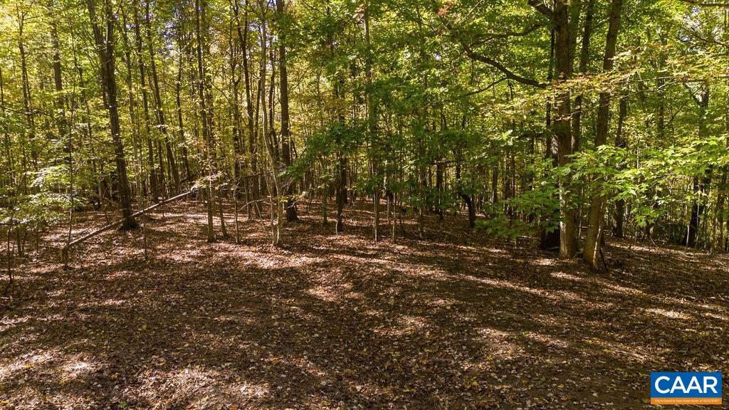 Lot 12 ENNIS MOUNTAIN RD